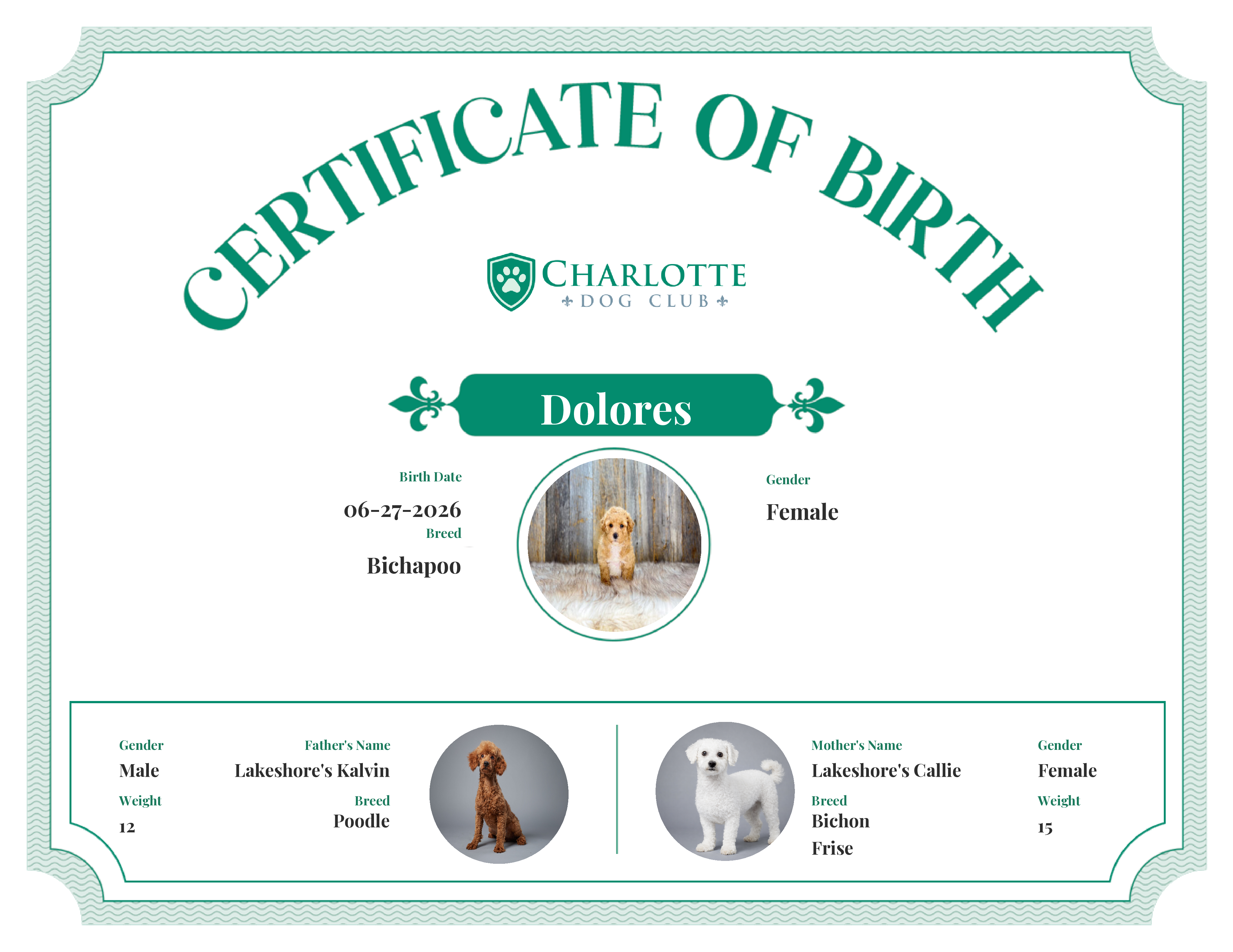 Dolores's Birth Certificate