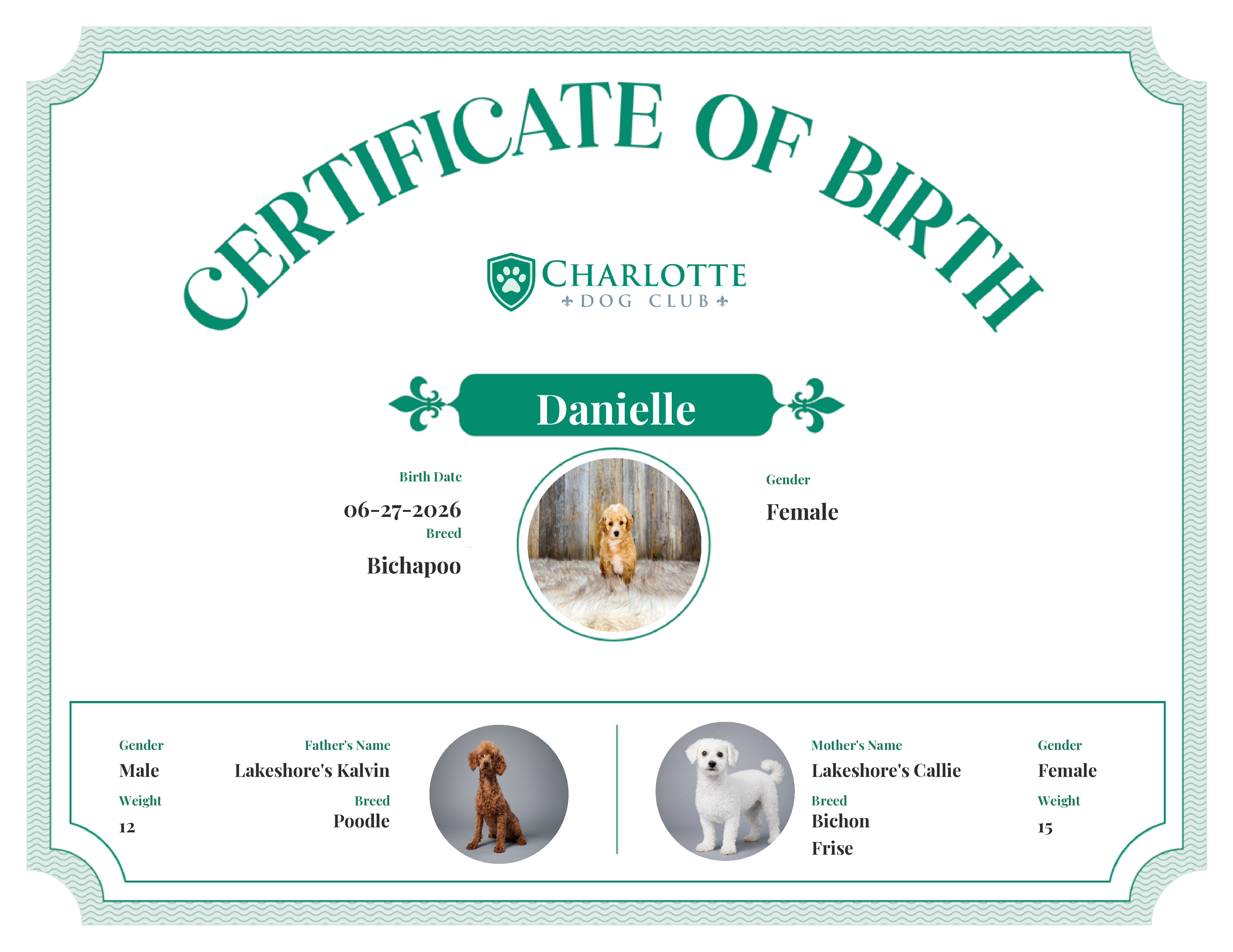 Danielle's Birth Certificate