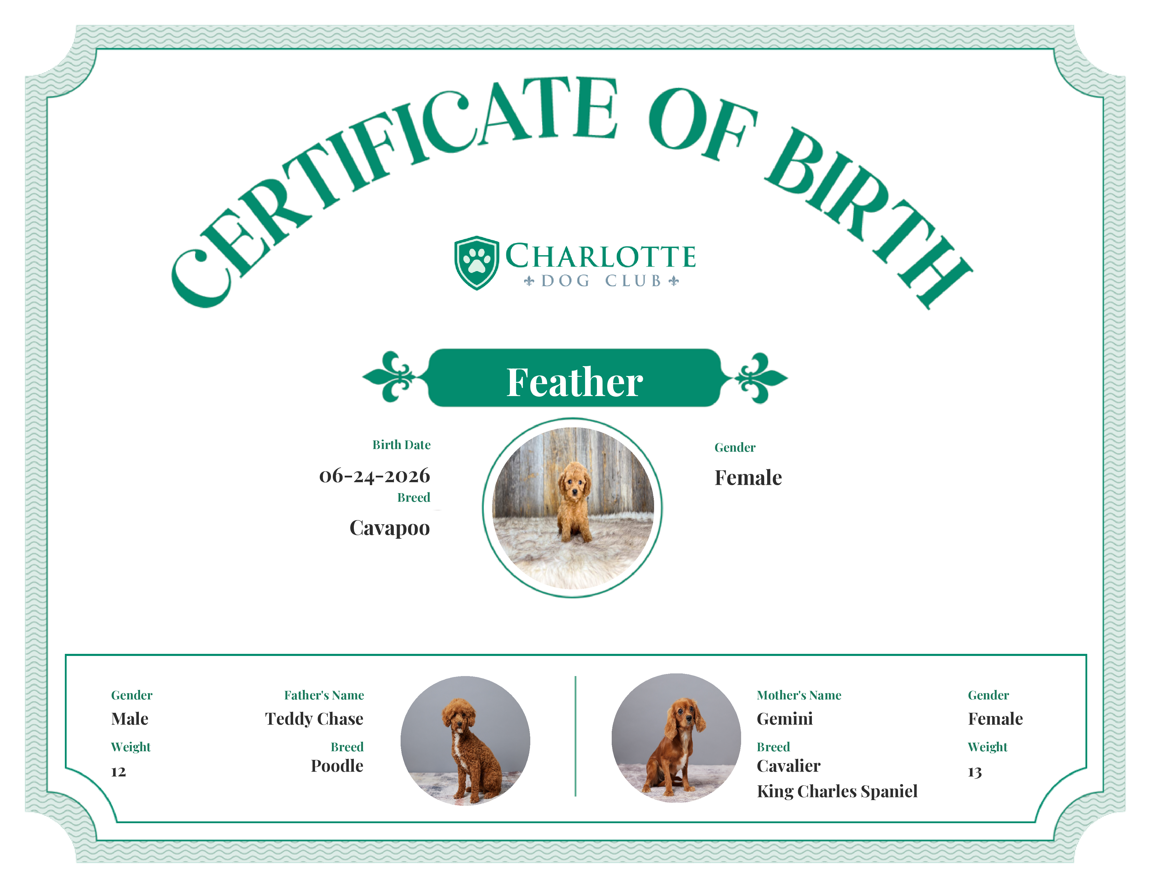 Feather's Birth Certificate