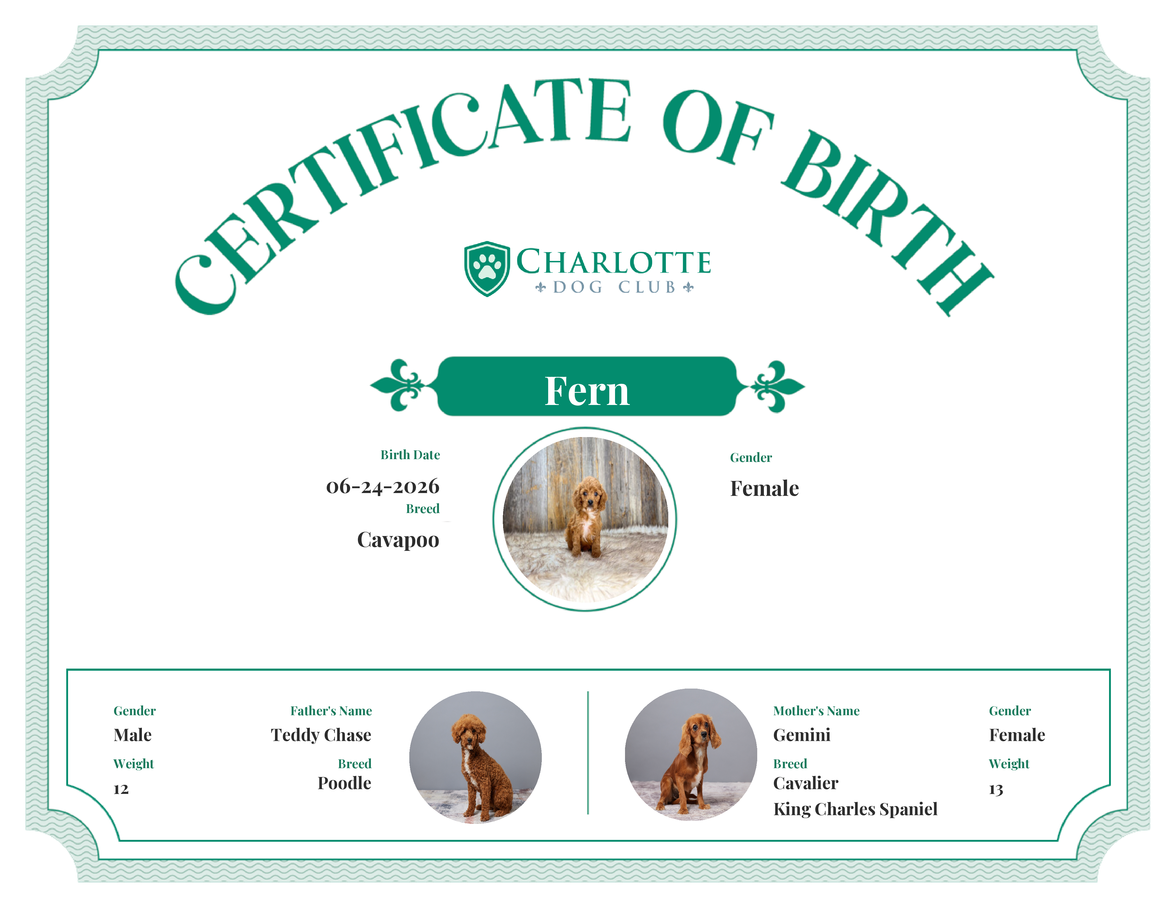 Fern's Birth Certificate