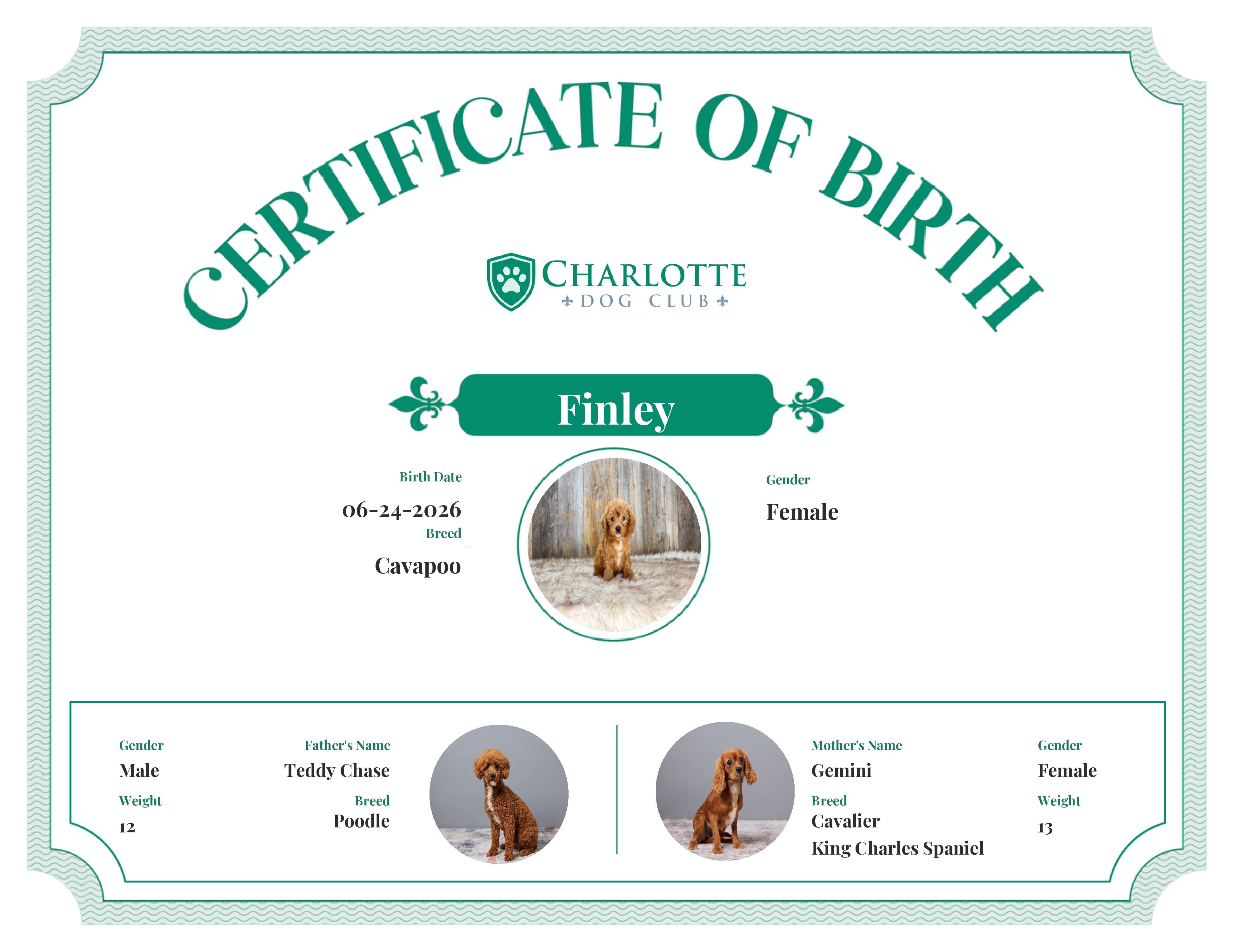 Finley's Birth Certificate