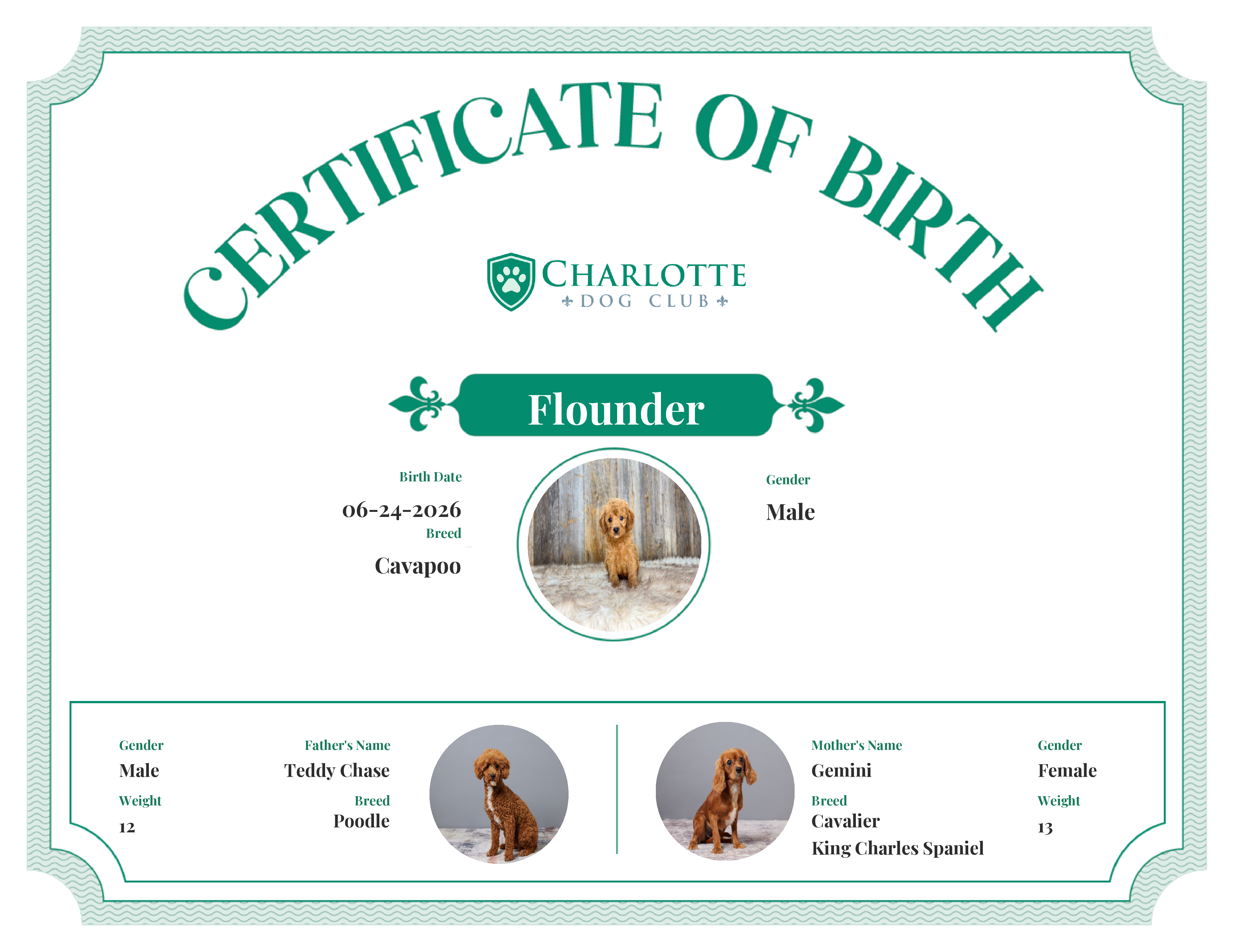 Flounder's Birth Certificate