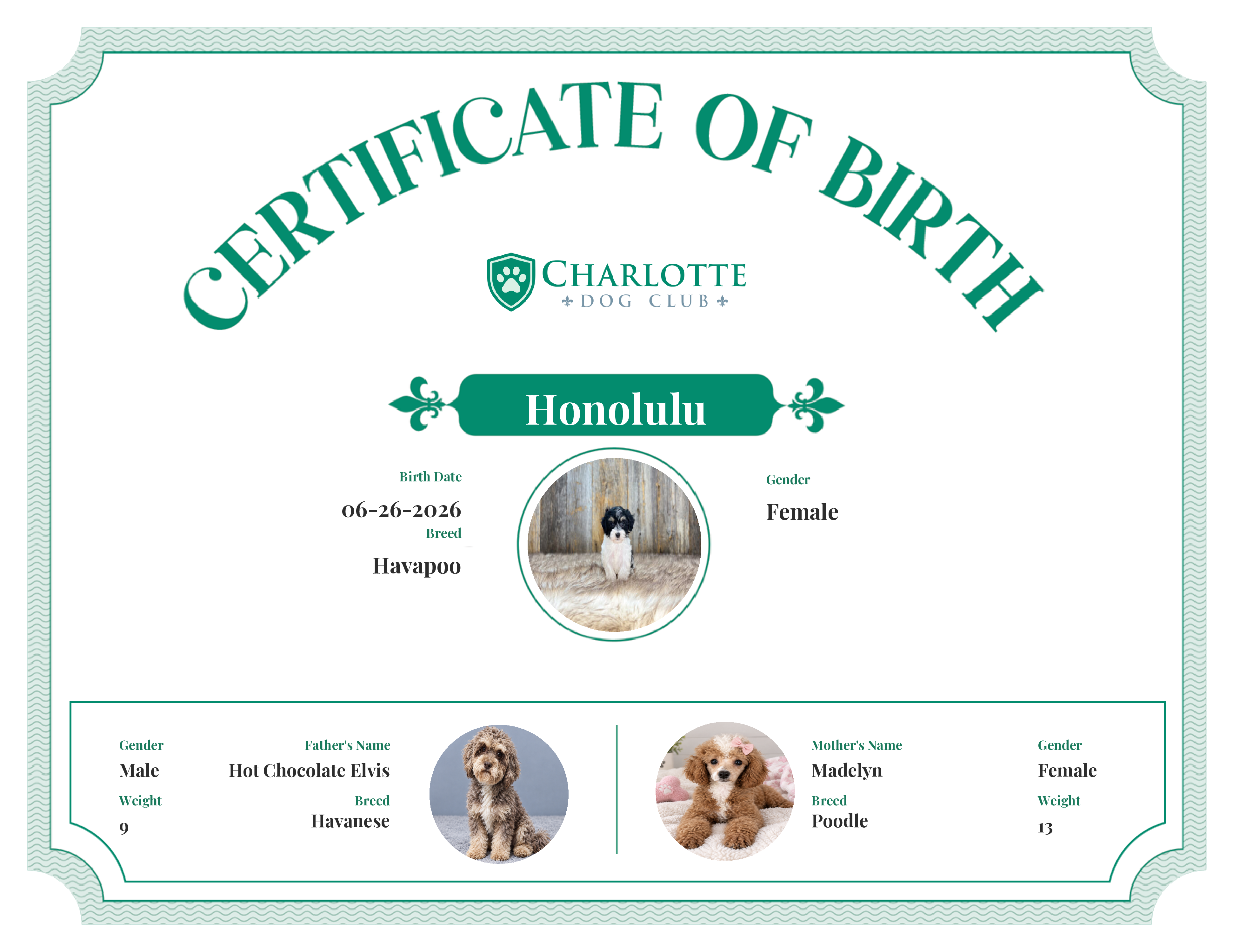 Honolulu's Birth Certificate