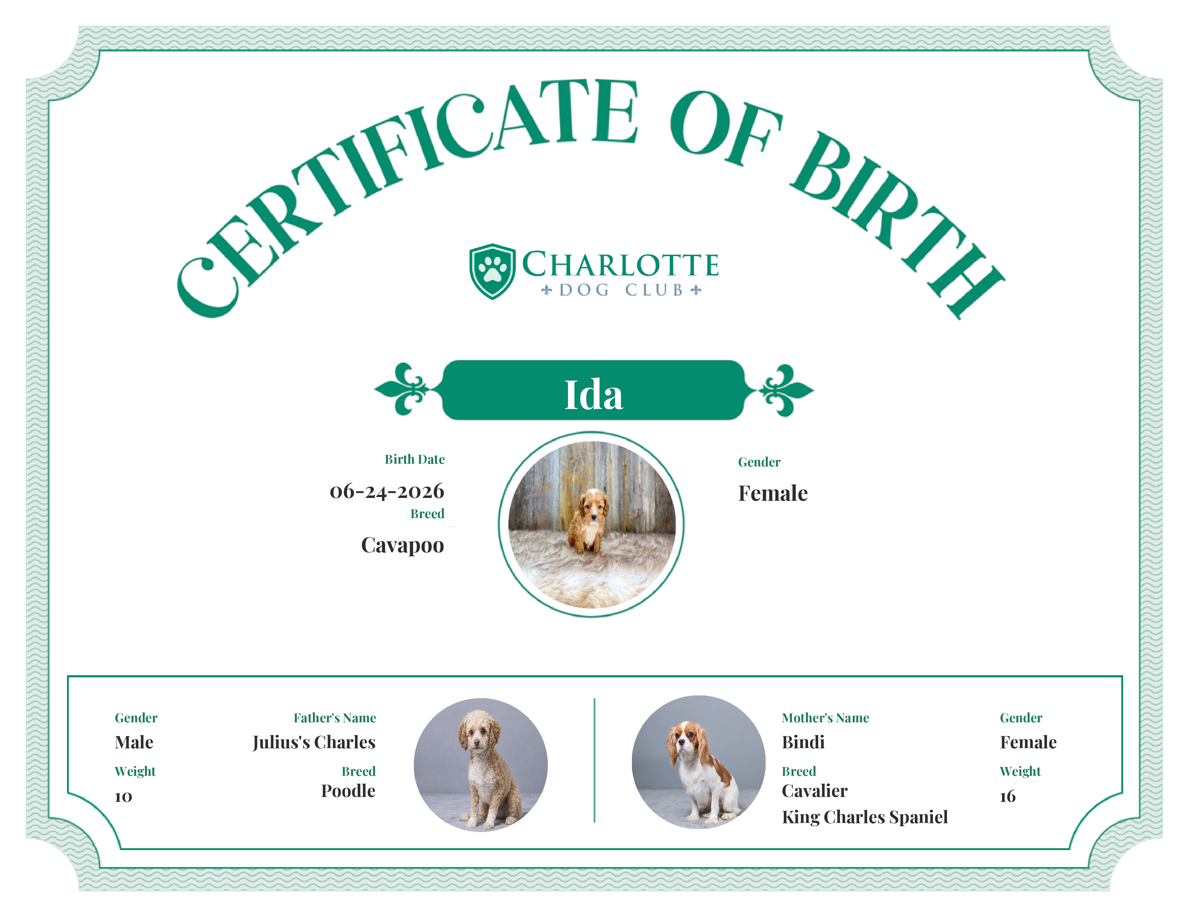 Ida's Birth Certificate
