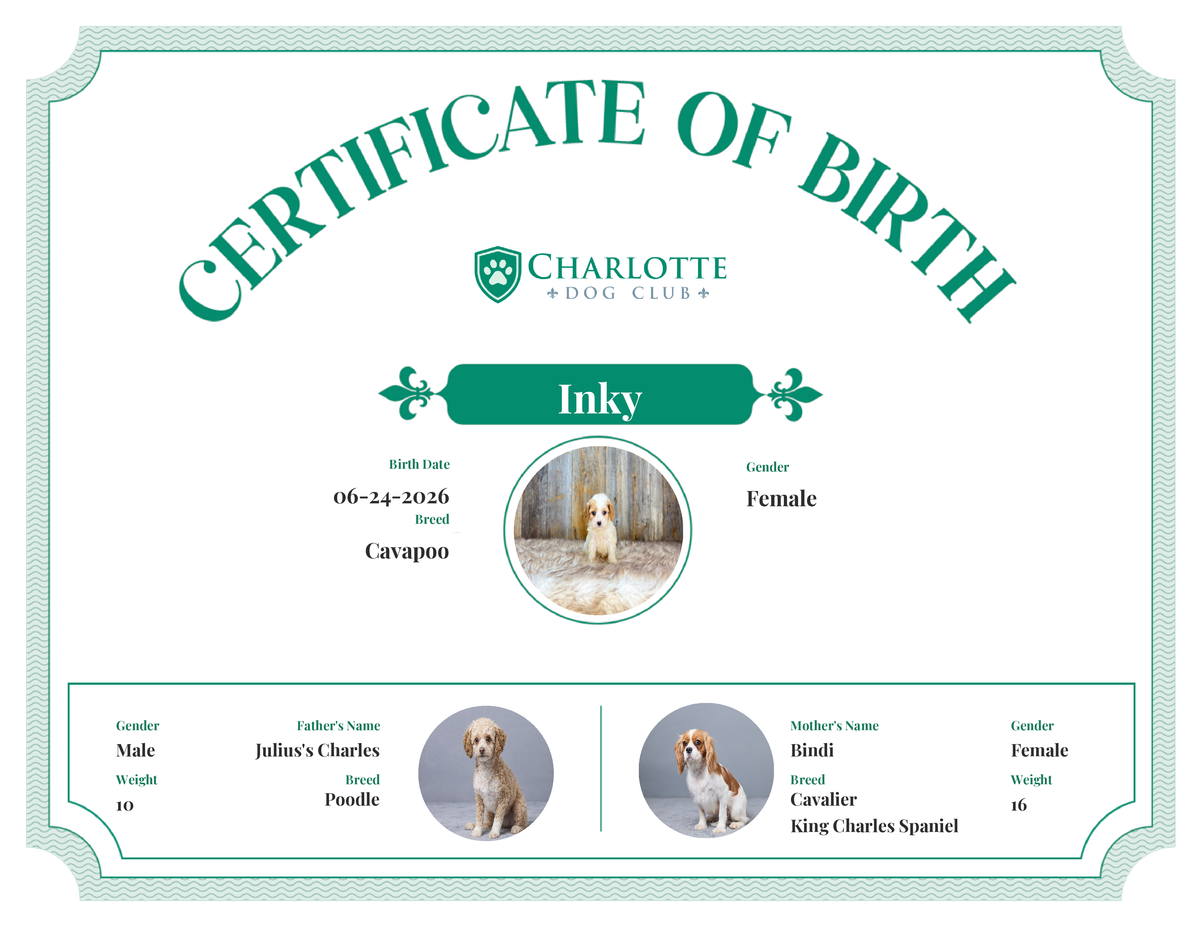 Inky's Birth Certificate