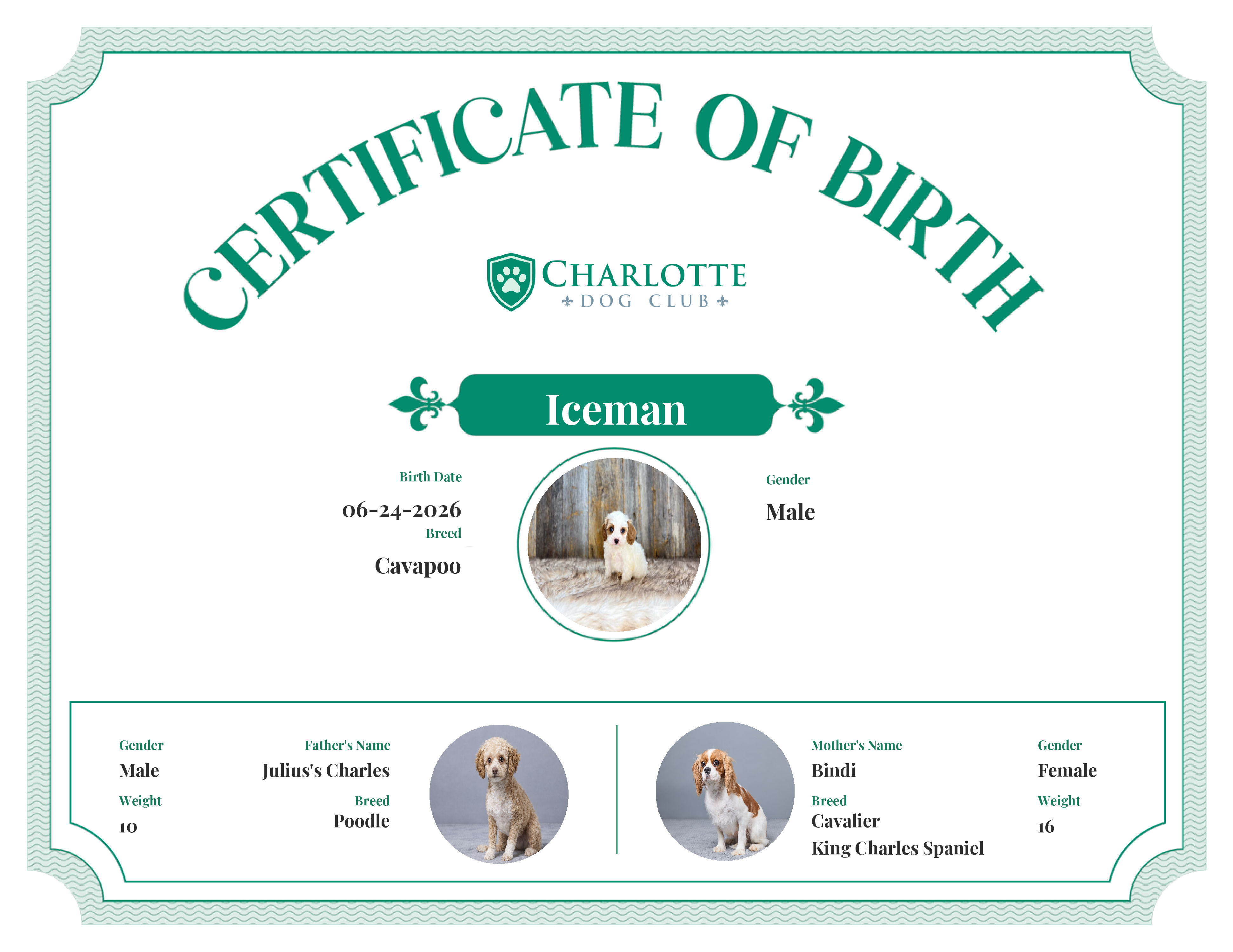 Iceman's Birth Certificate