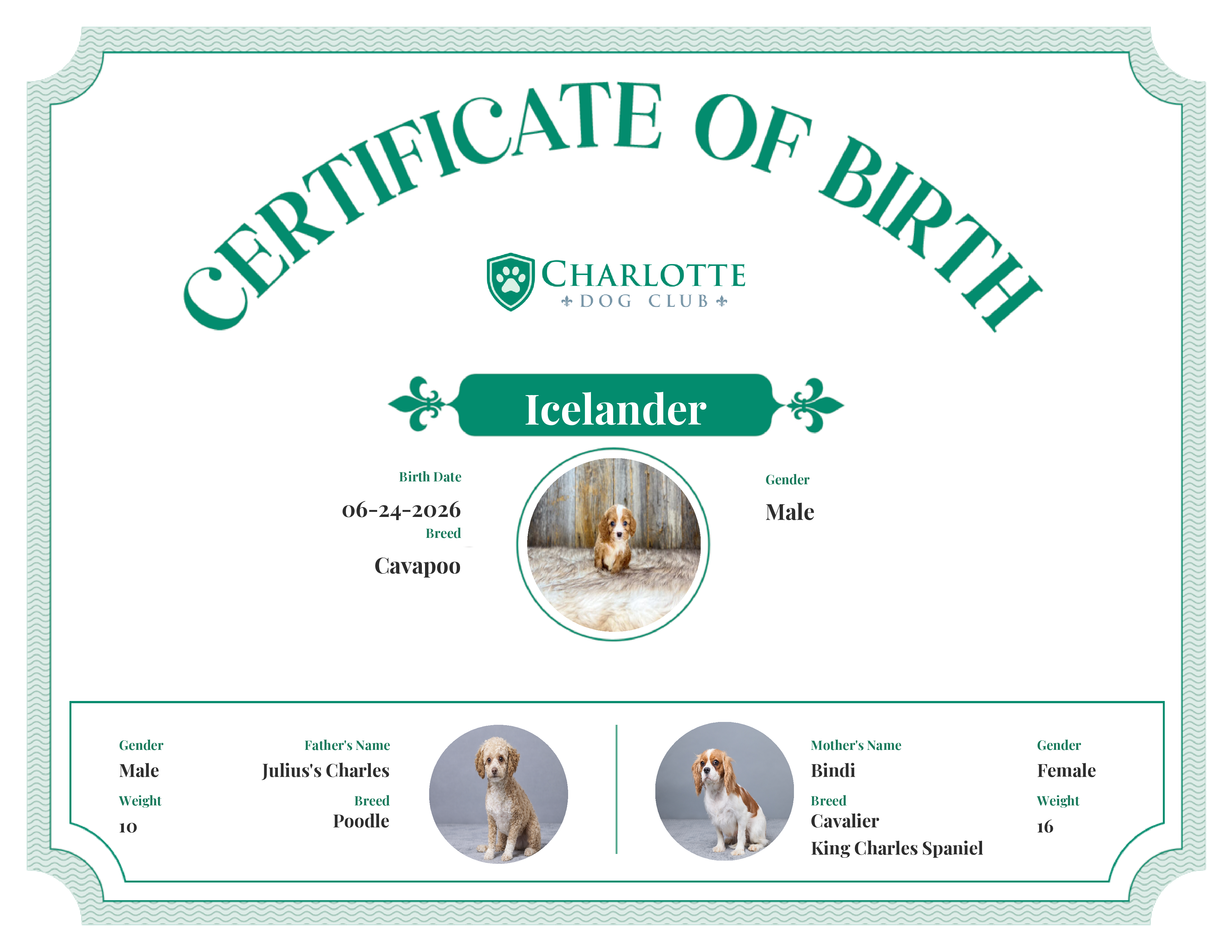Icelander's Birth Certificate