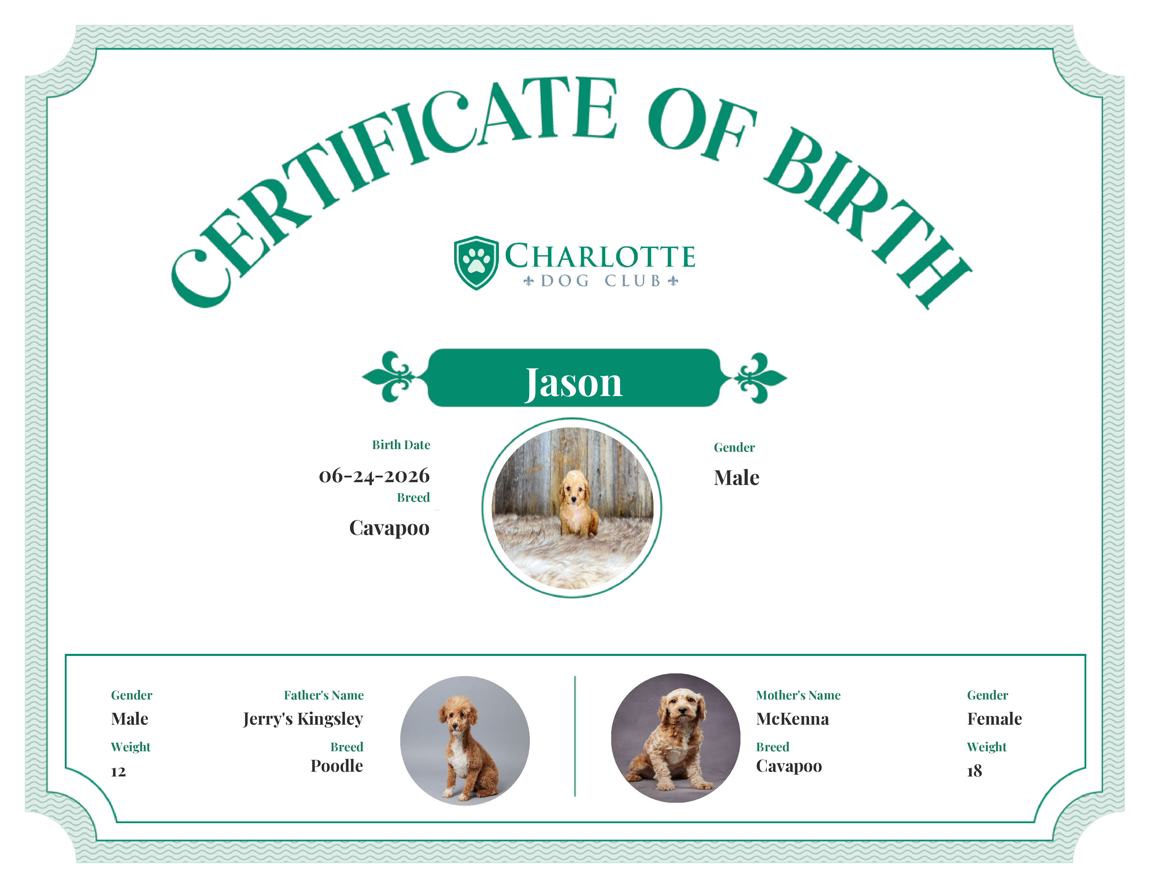 Jason's Birth Certificate