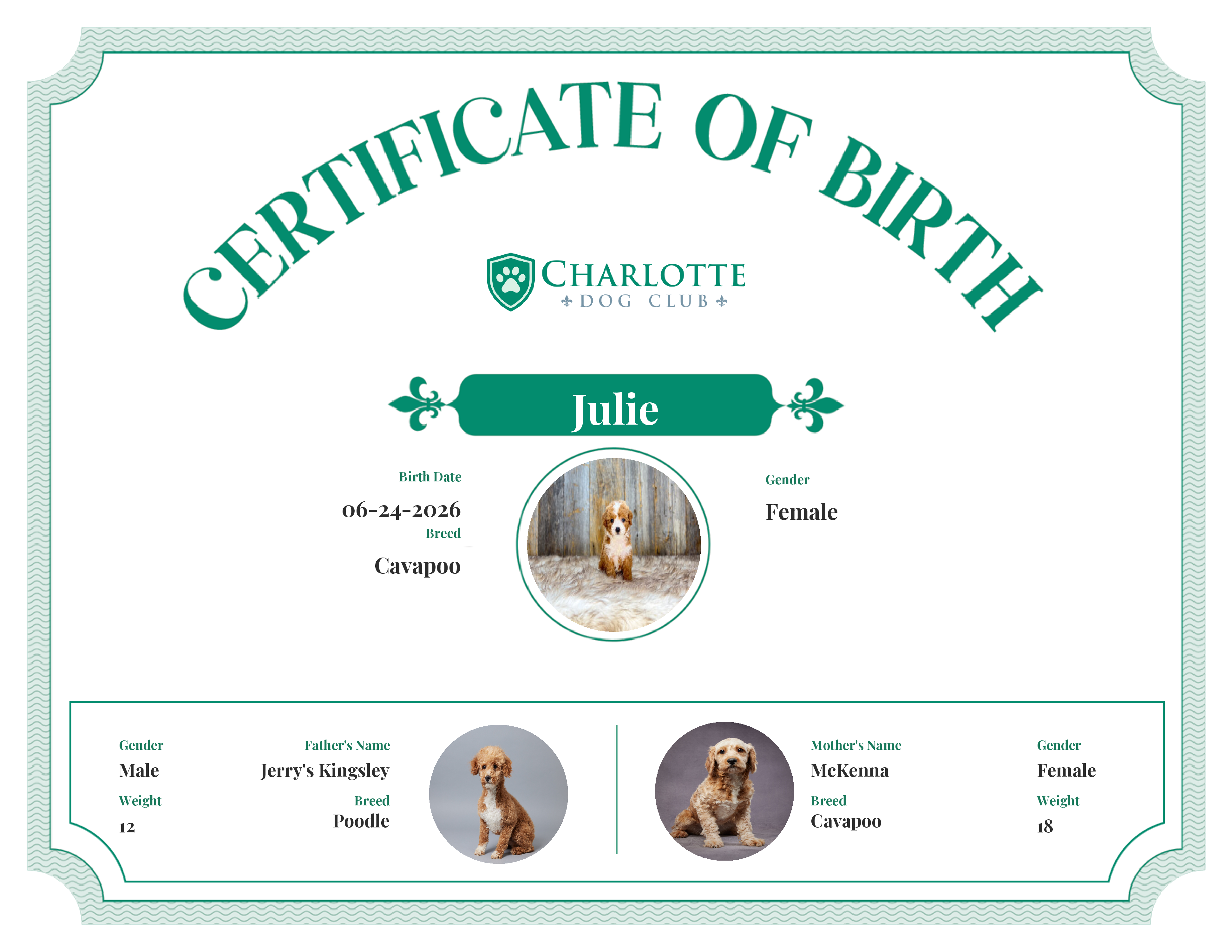 Julie's Birth Certificate