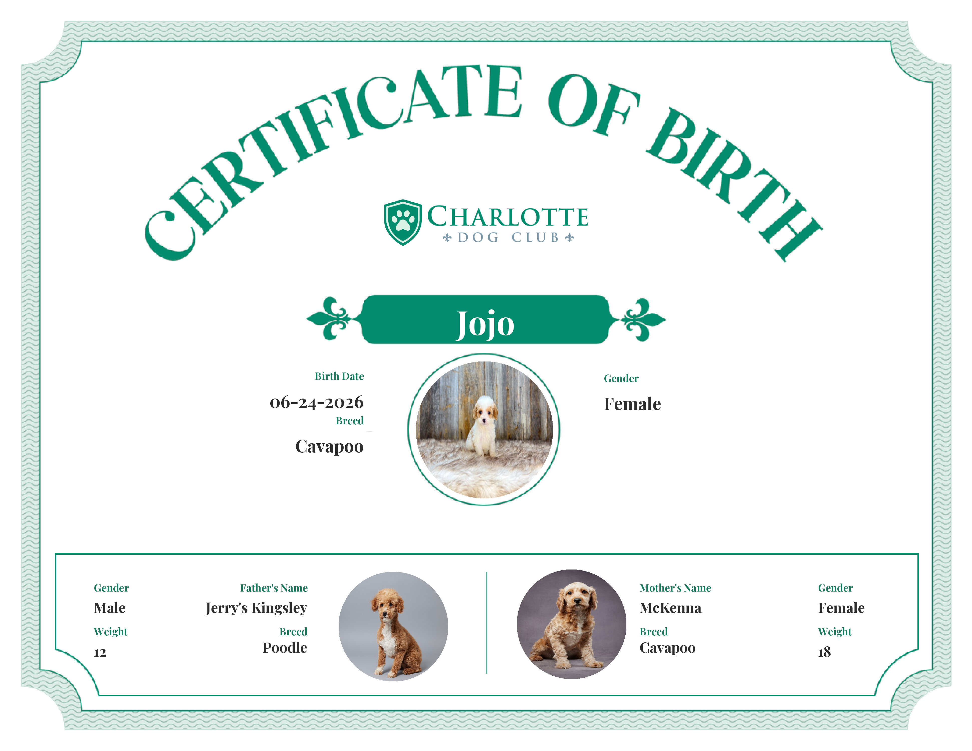 Jojo's Birth Certificate