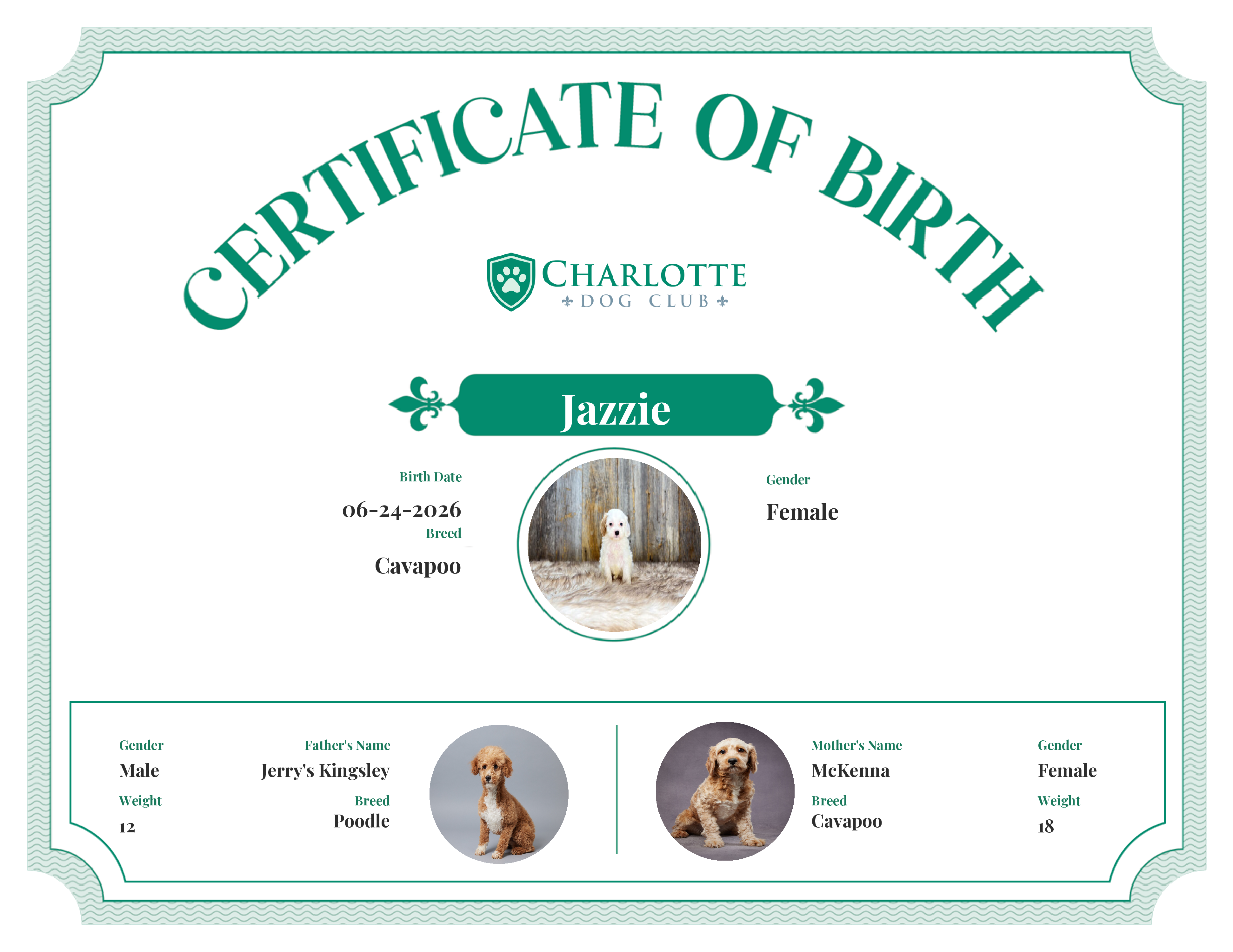 Jazzie's Birth Certificate