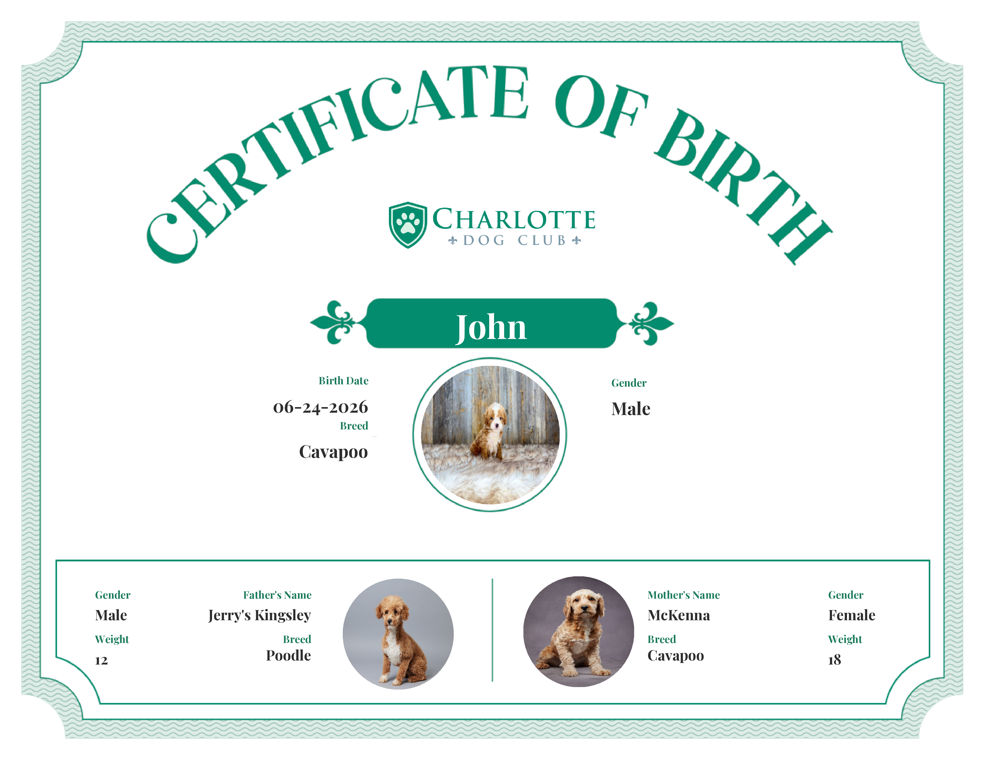 John's Birth Certificate
