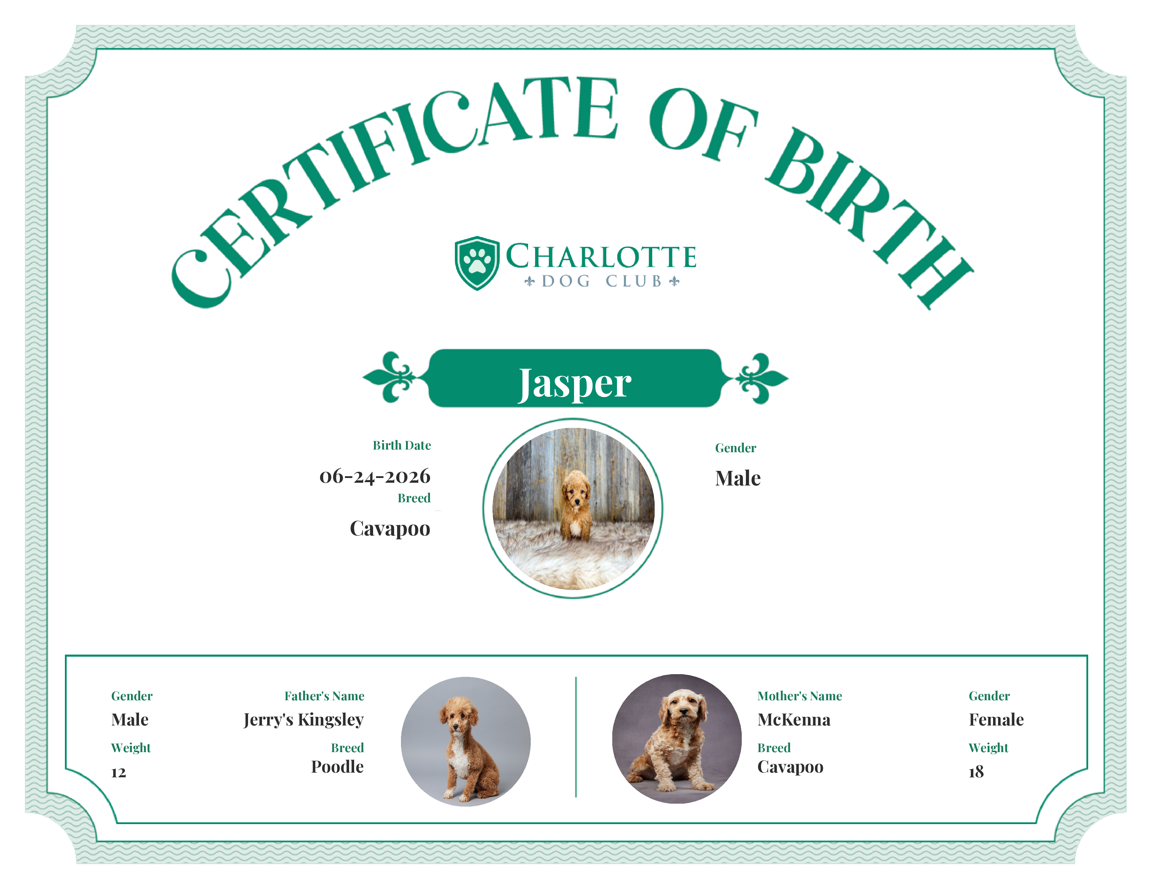 Jasper's Birth Certificate