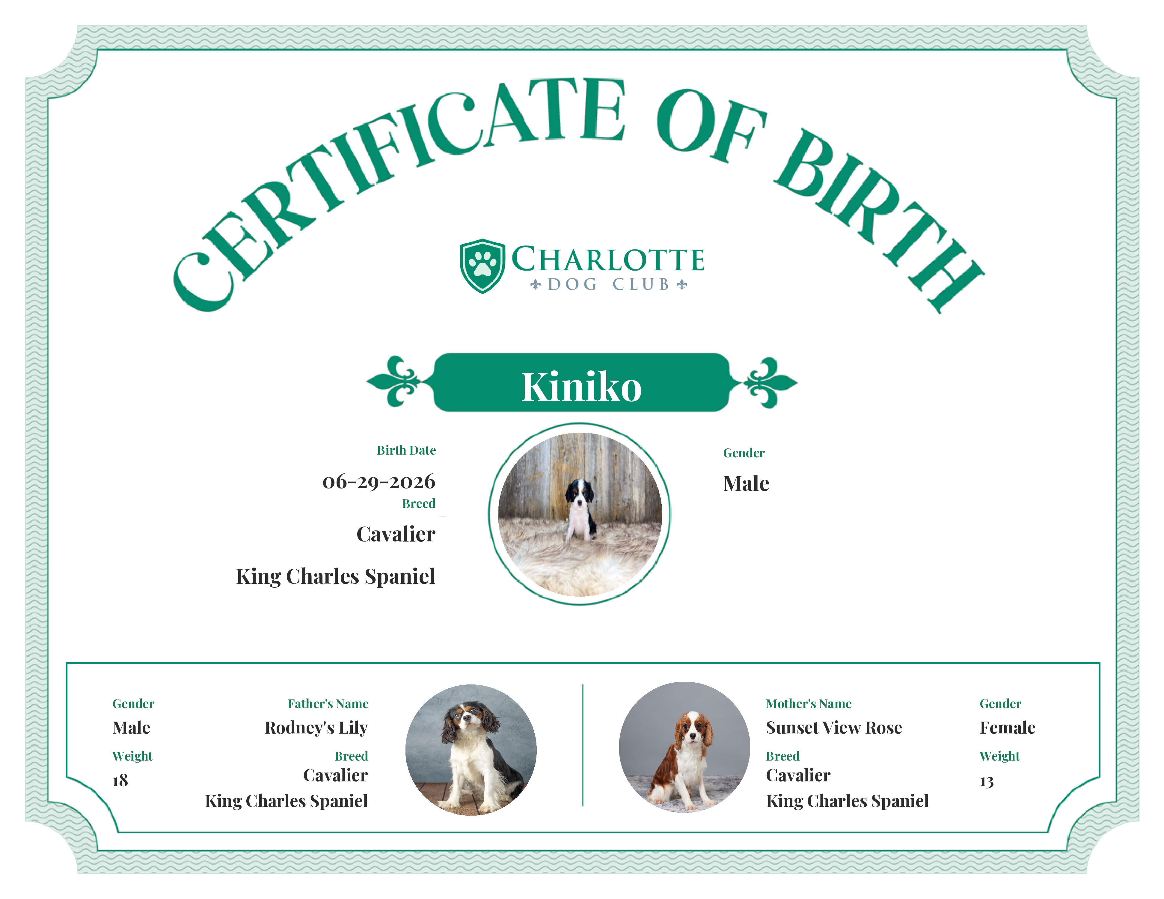 Kiniko's Birth Certificate