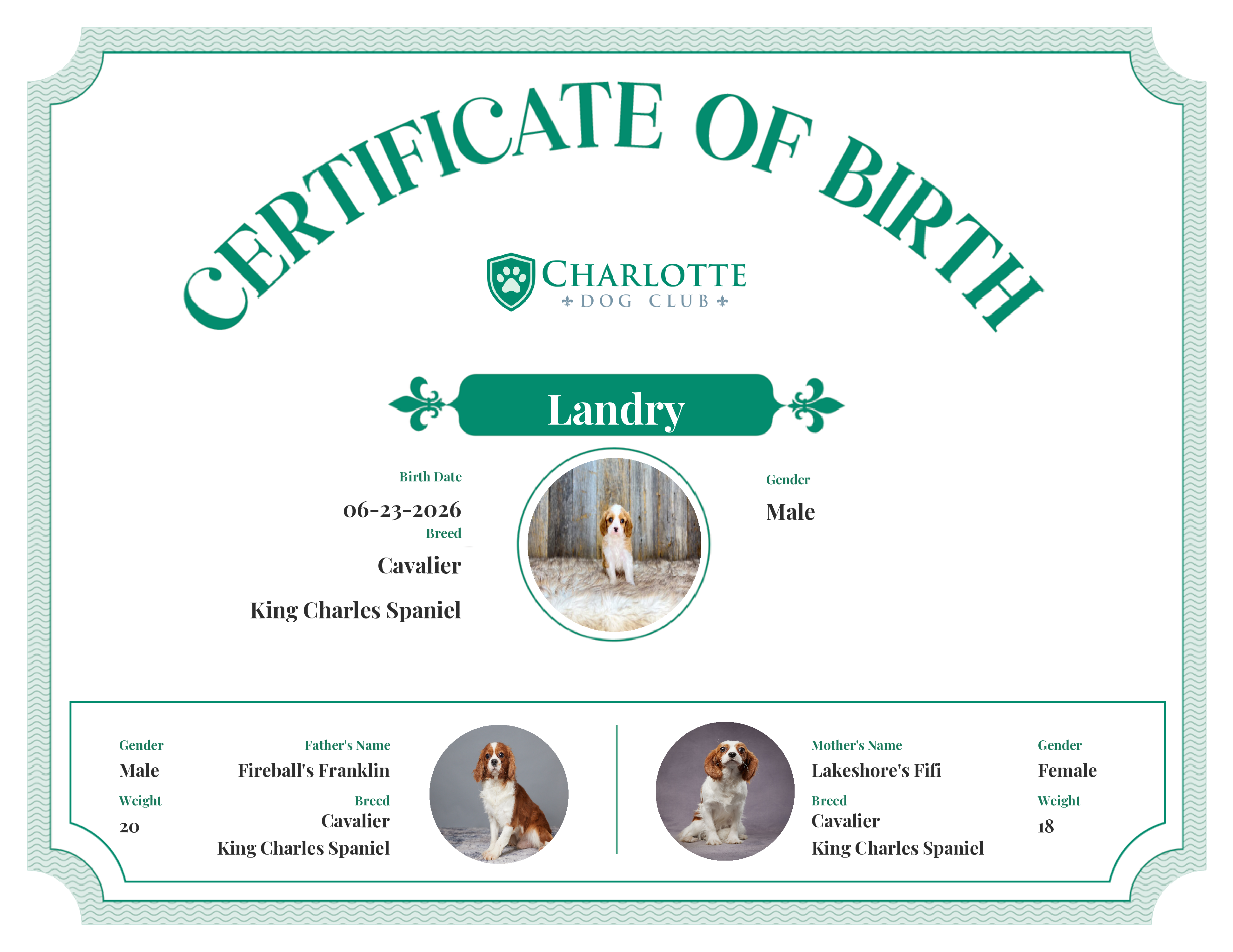 Landry's Birth Certificate