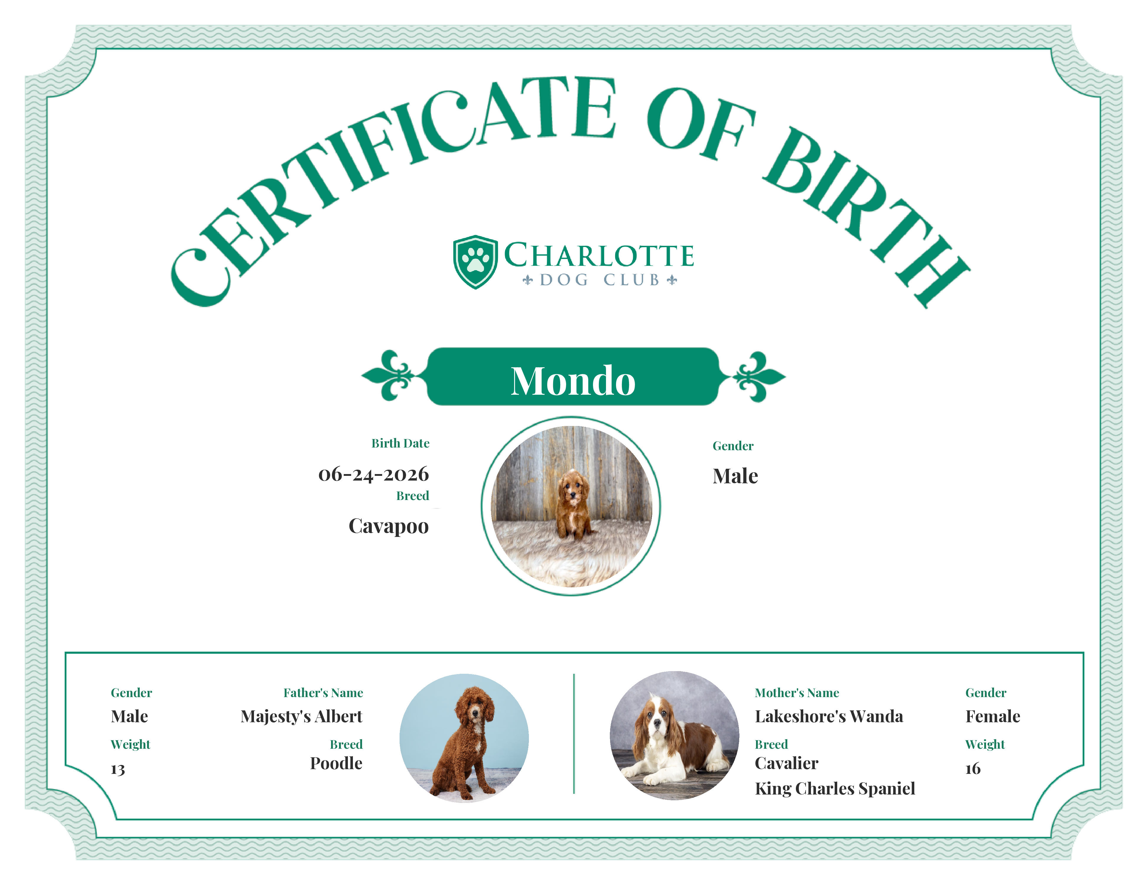 Mondo's Birth Certificate