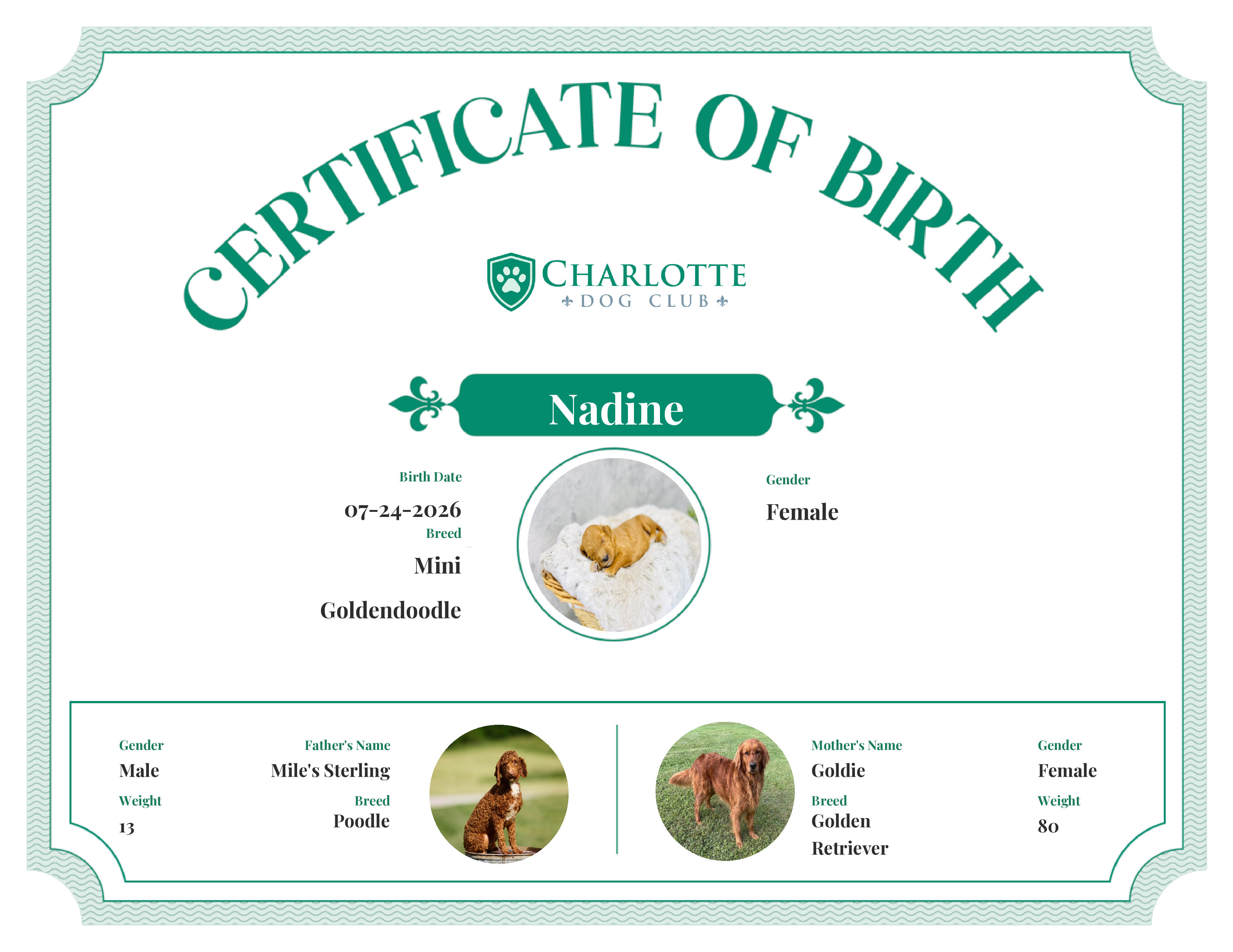 Nadine's Birth Certificate