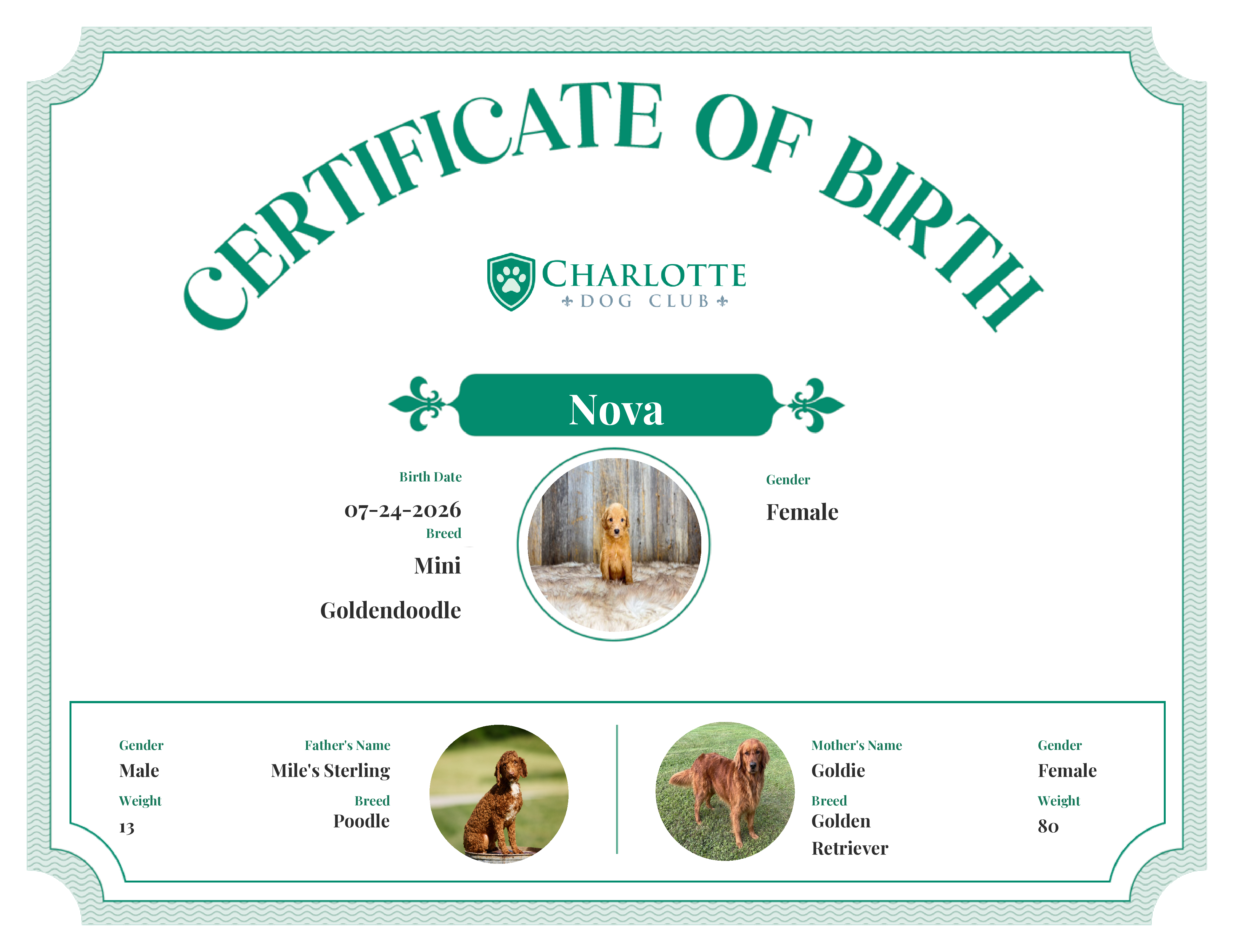 Nova's Birth Certificate