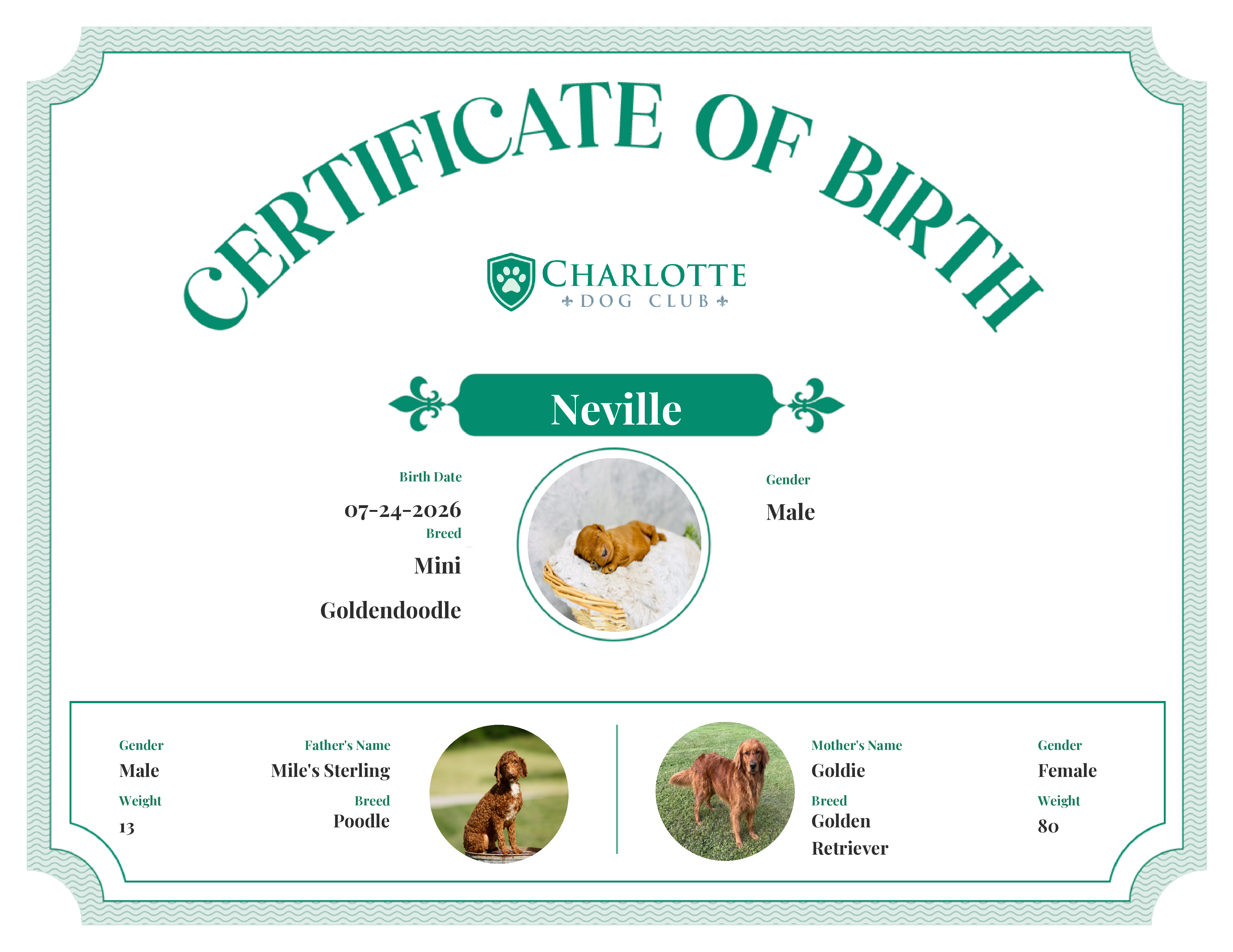 Neville's Birth Certificate