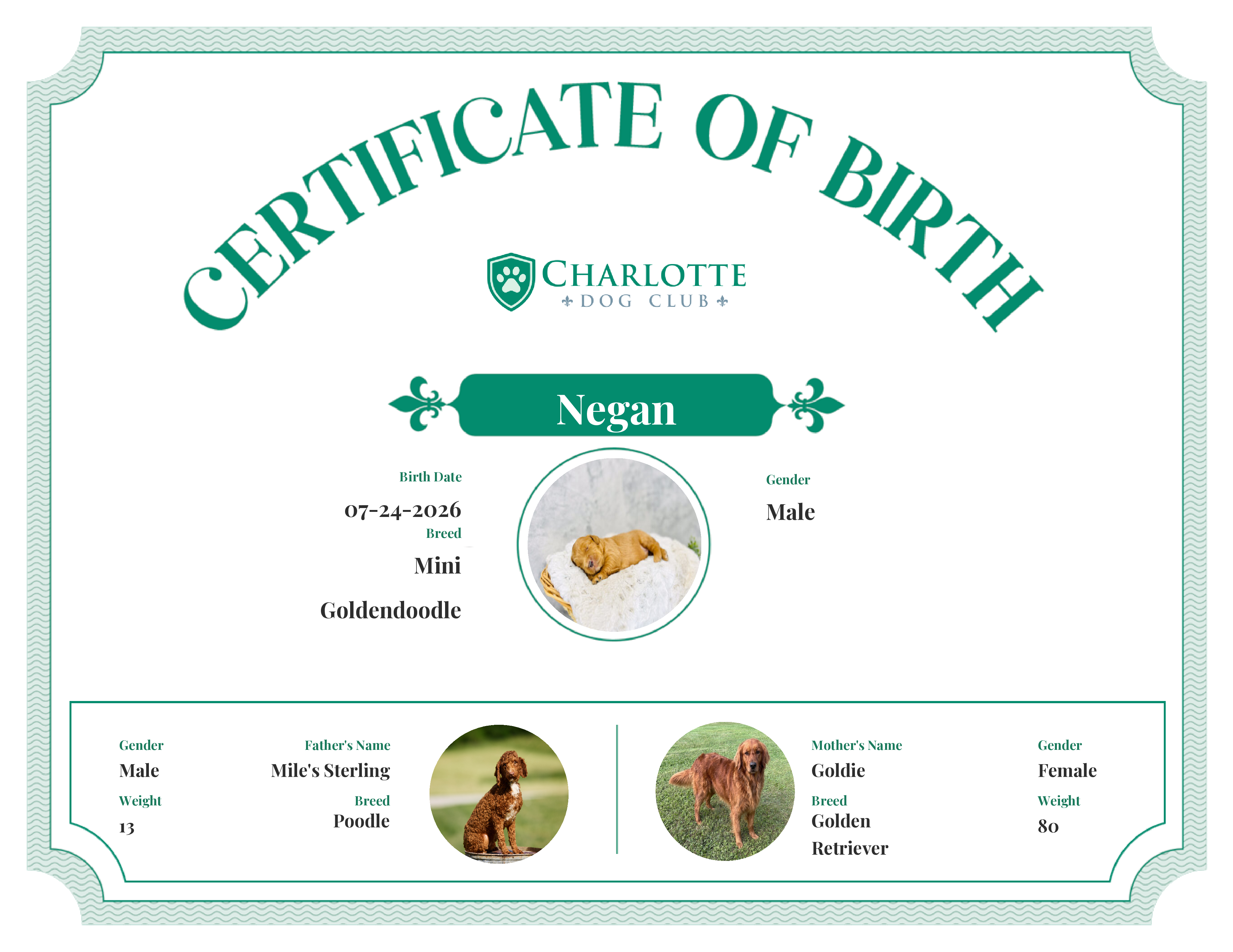 Negan's Birth Certificate
