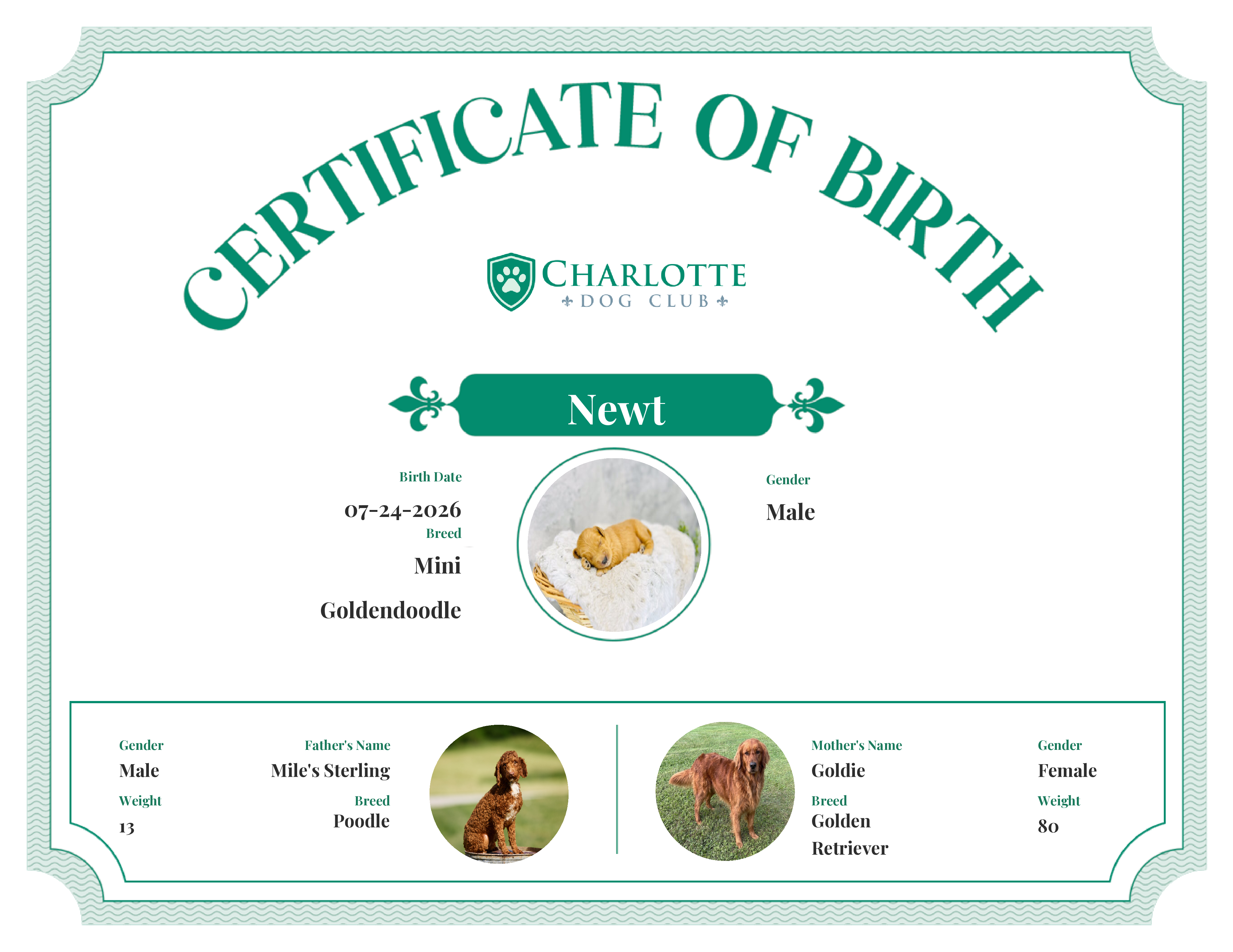 Newt's Birth Certificate