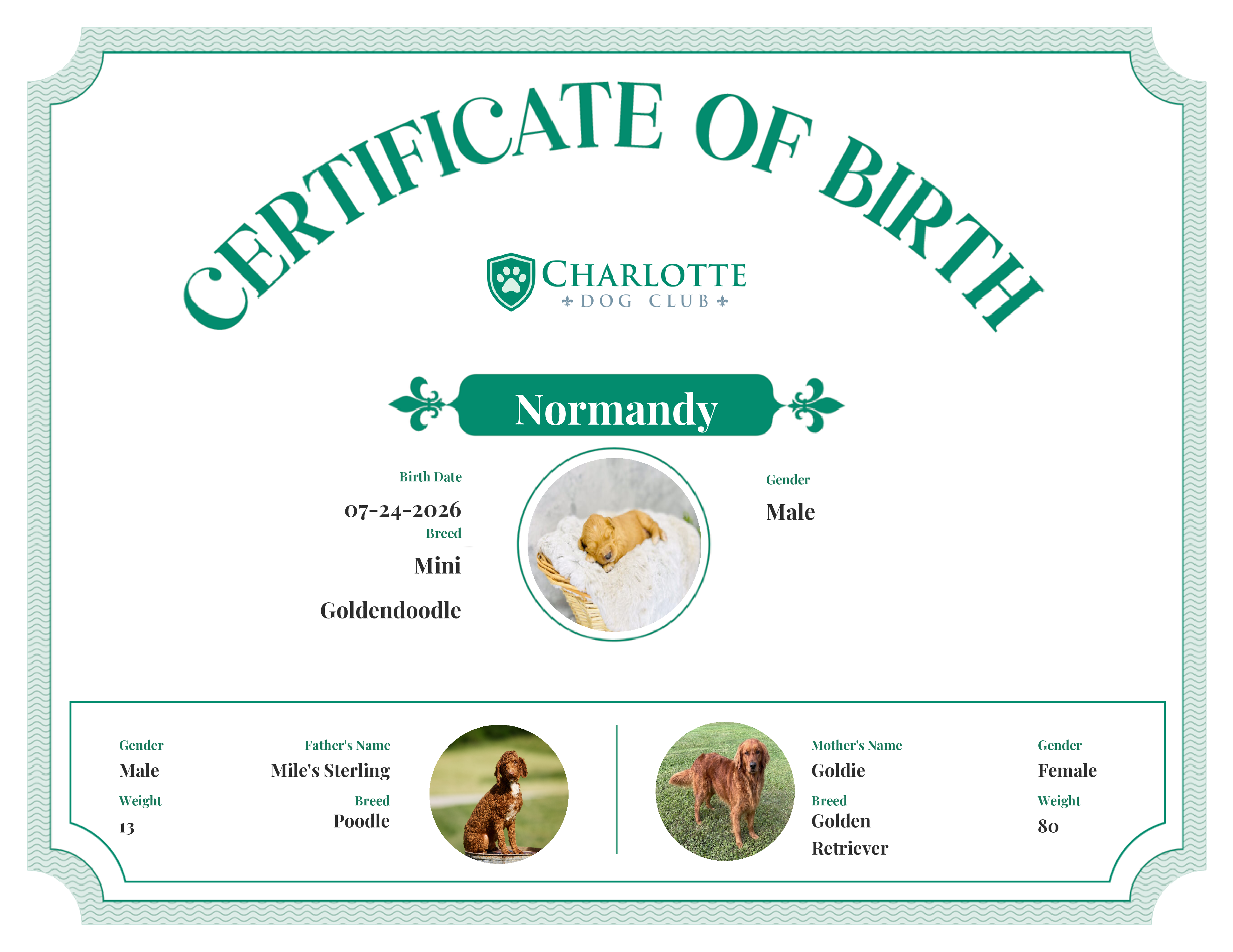 Normandy's Birth Certificate