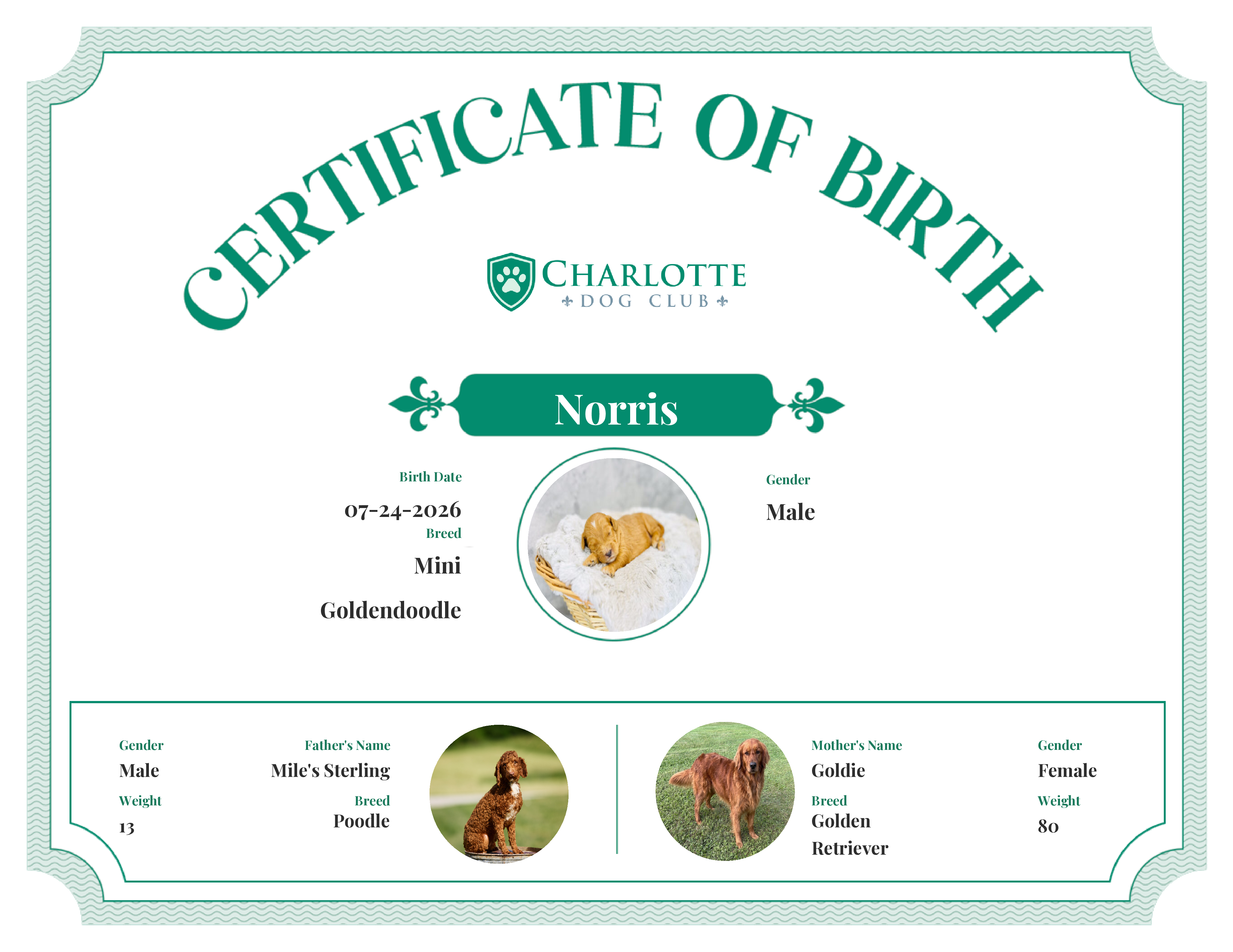 Norris's Birth Certificate