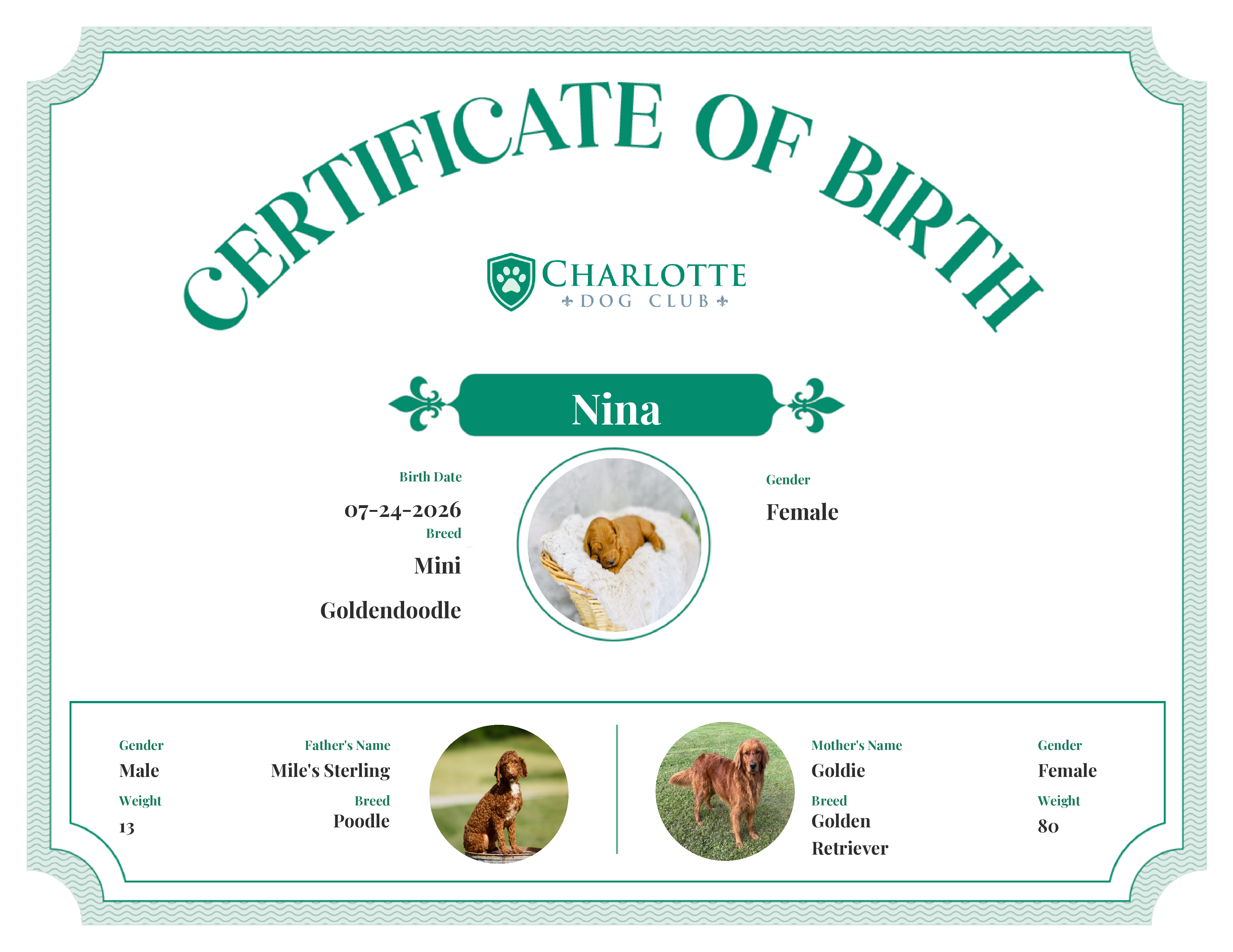 Nina's Birth Certificate