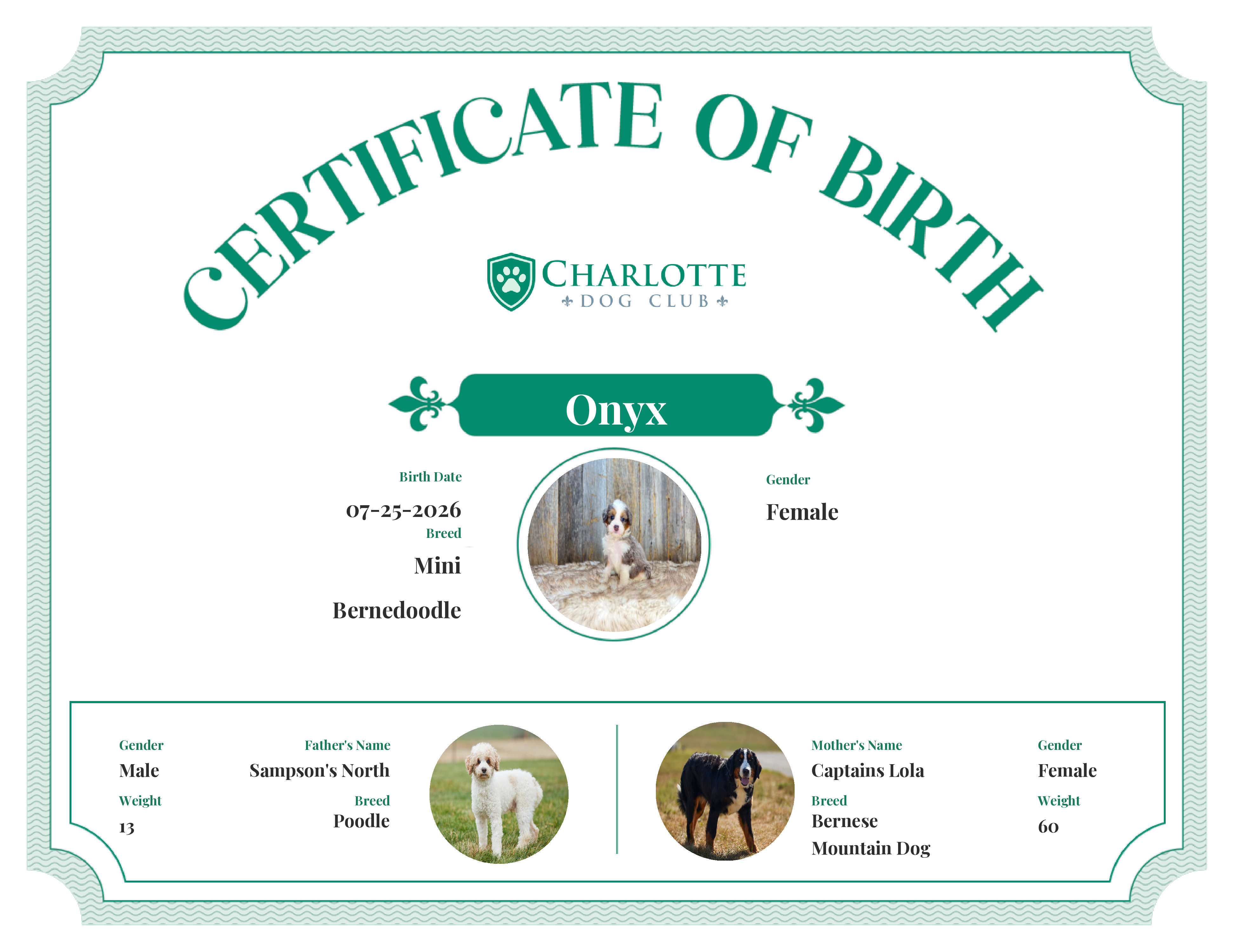Onyx's Birth Certificate