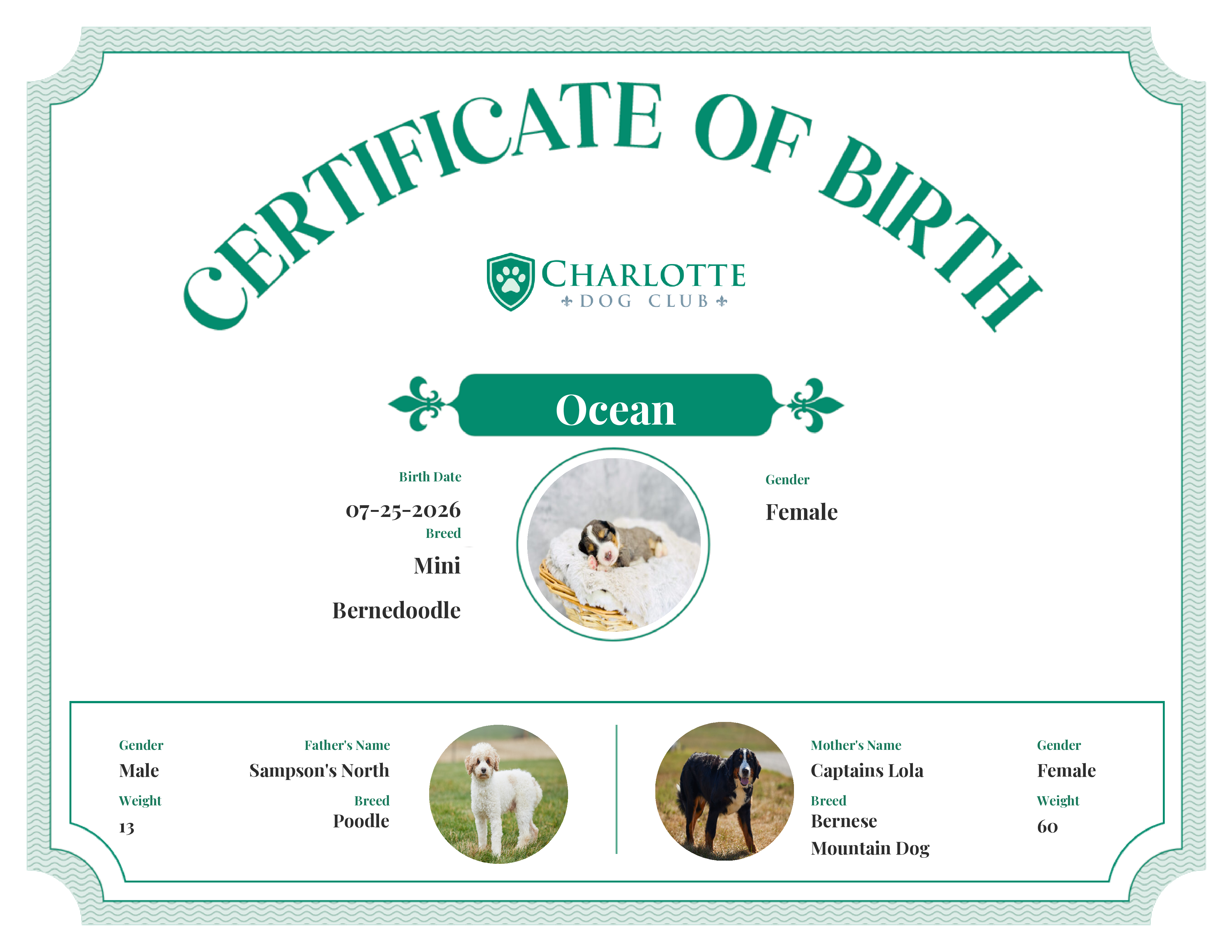 Ocean's Birth Certificate