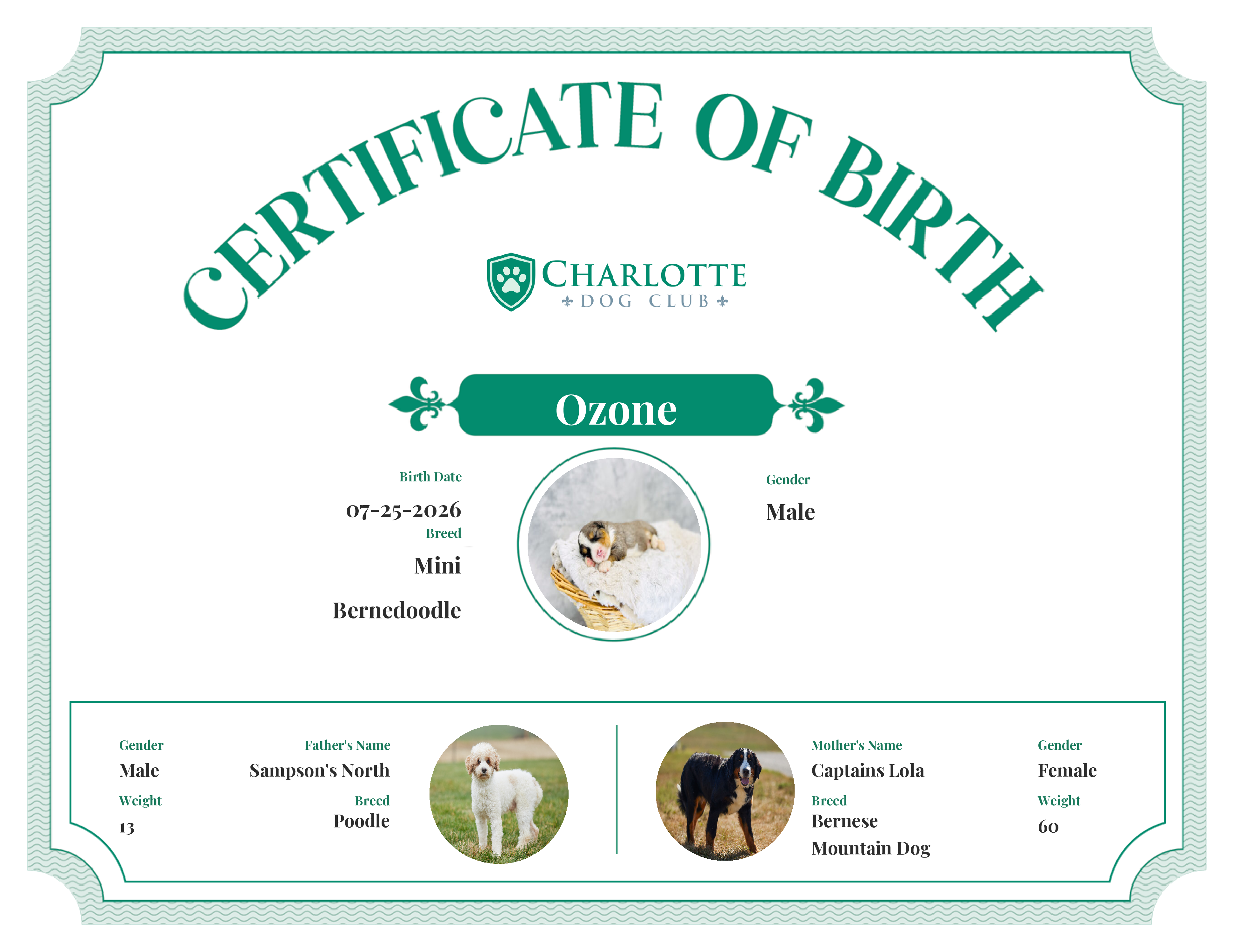 Ozone's Birth Certificate