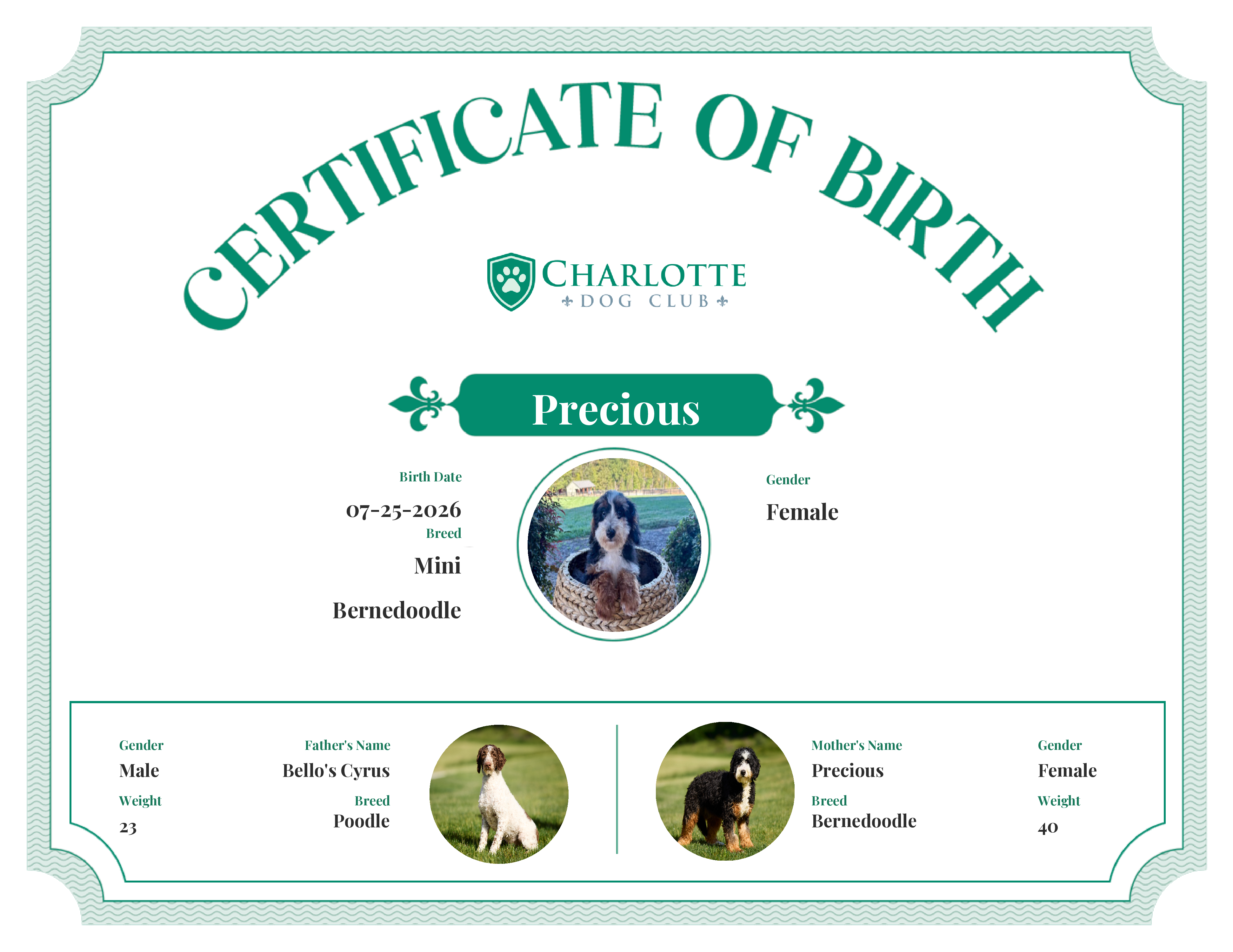 Precious's Birth Certificate