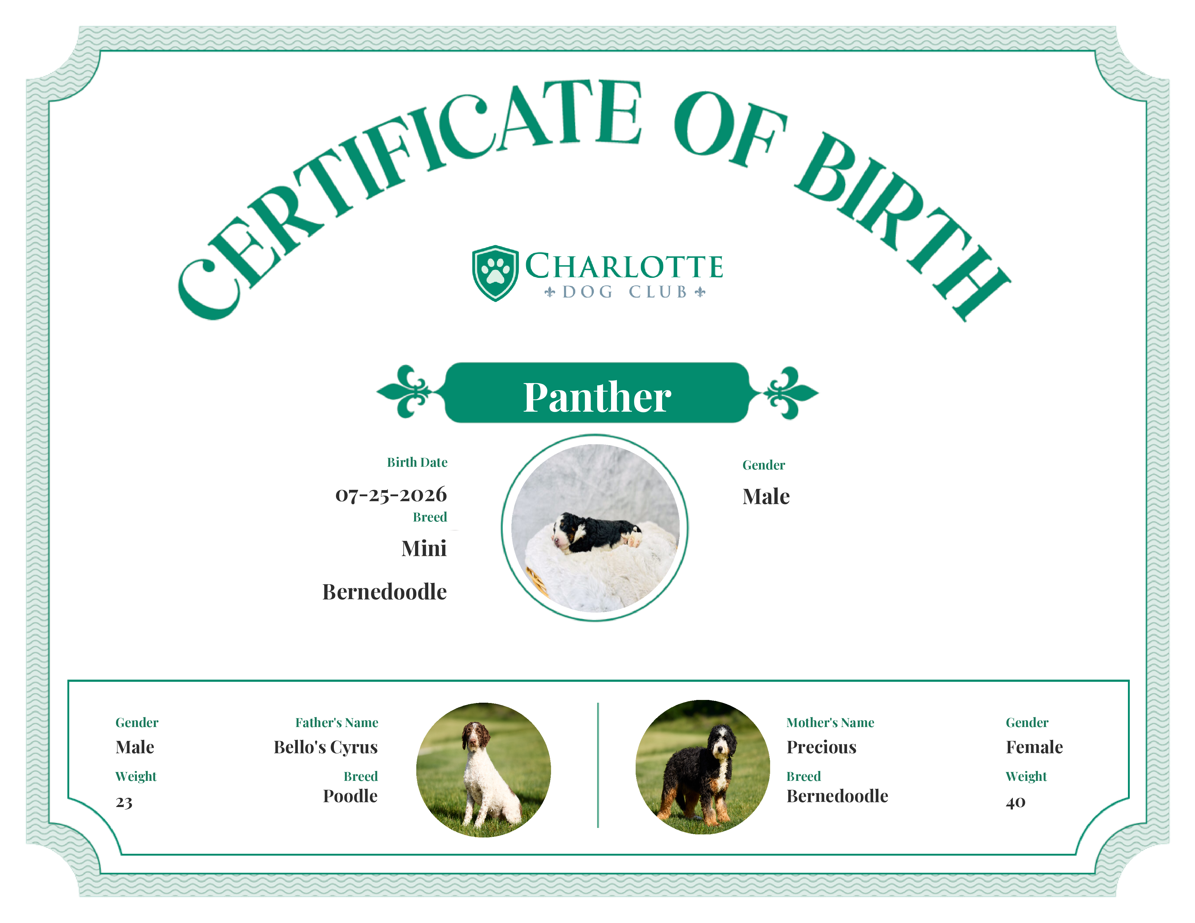 Panther's Birth Certificate