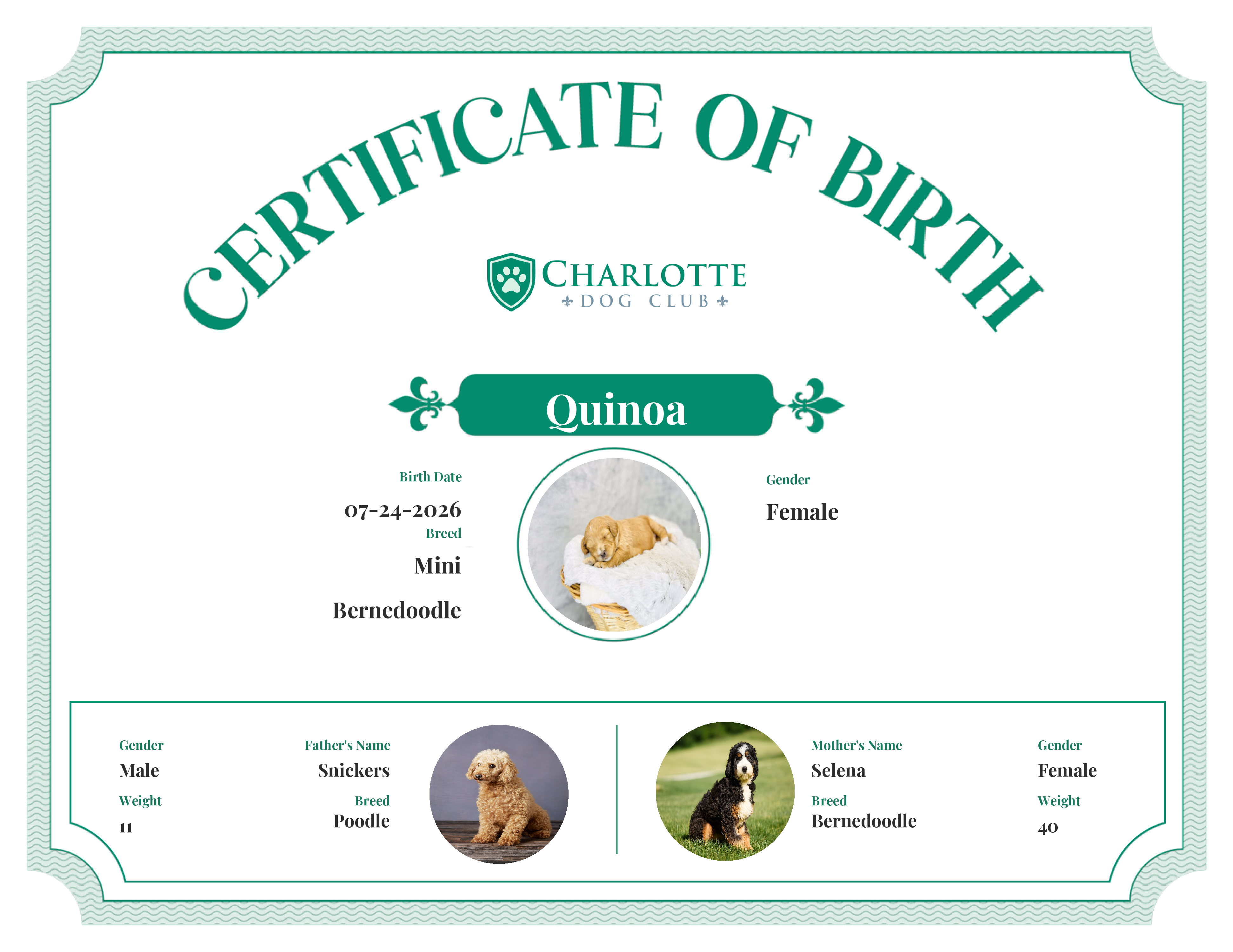 Quinoa's Birth Certificate