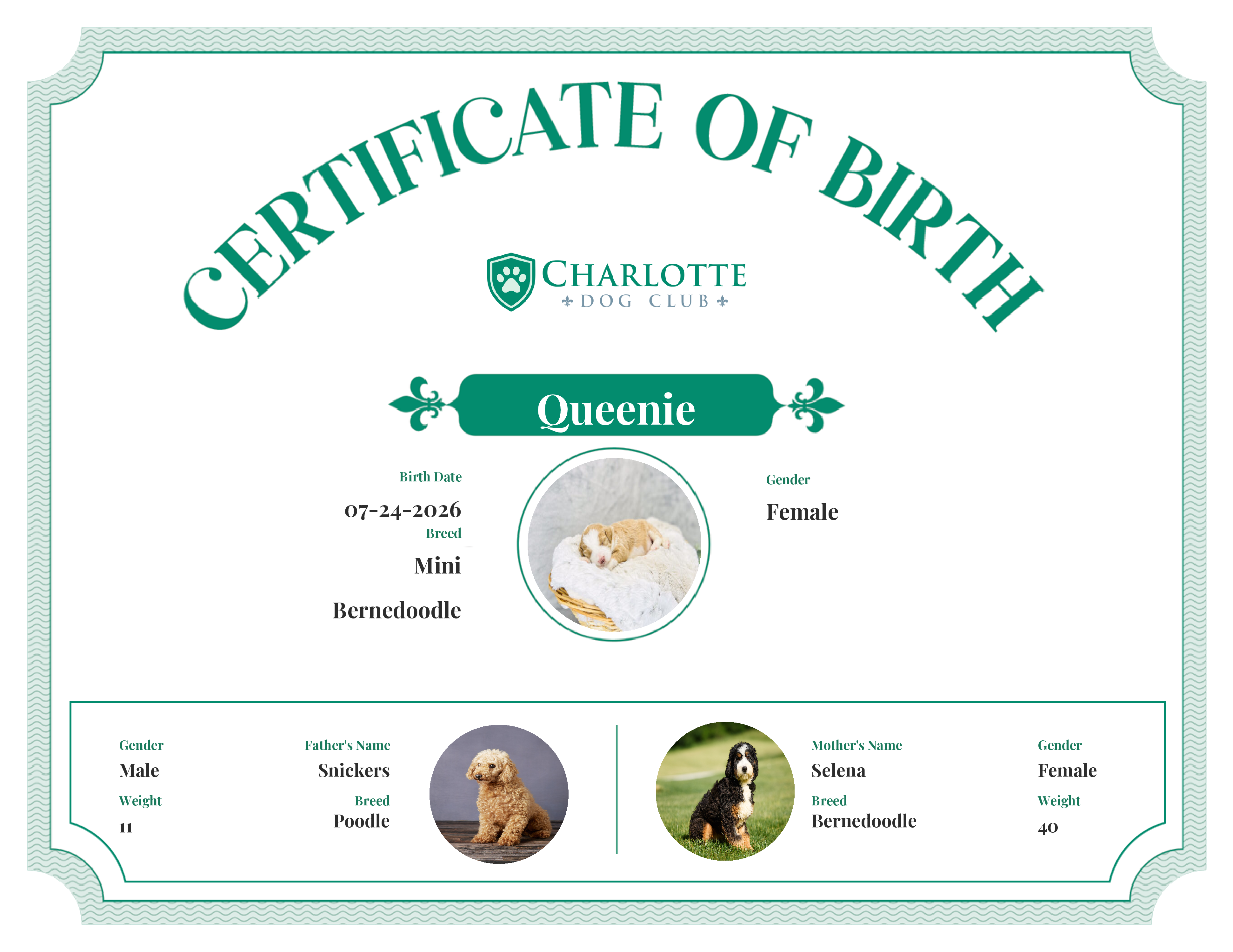 Queenie's Birth Certificate