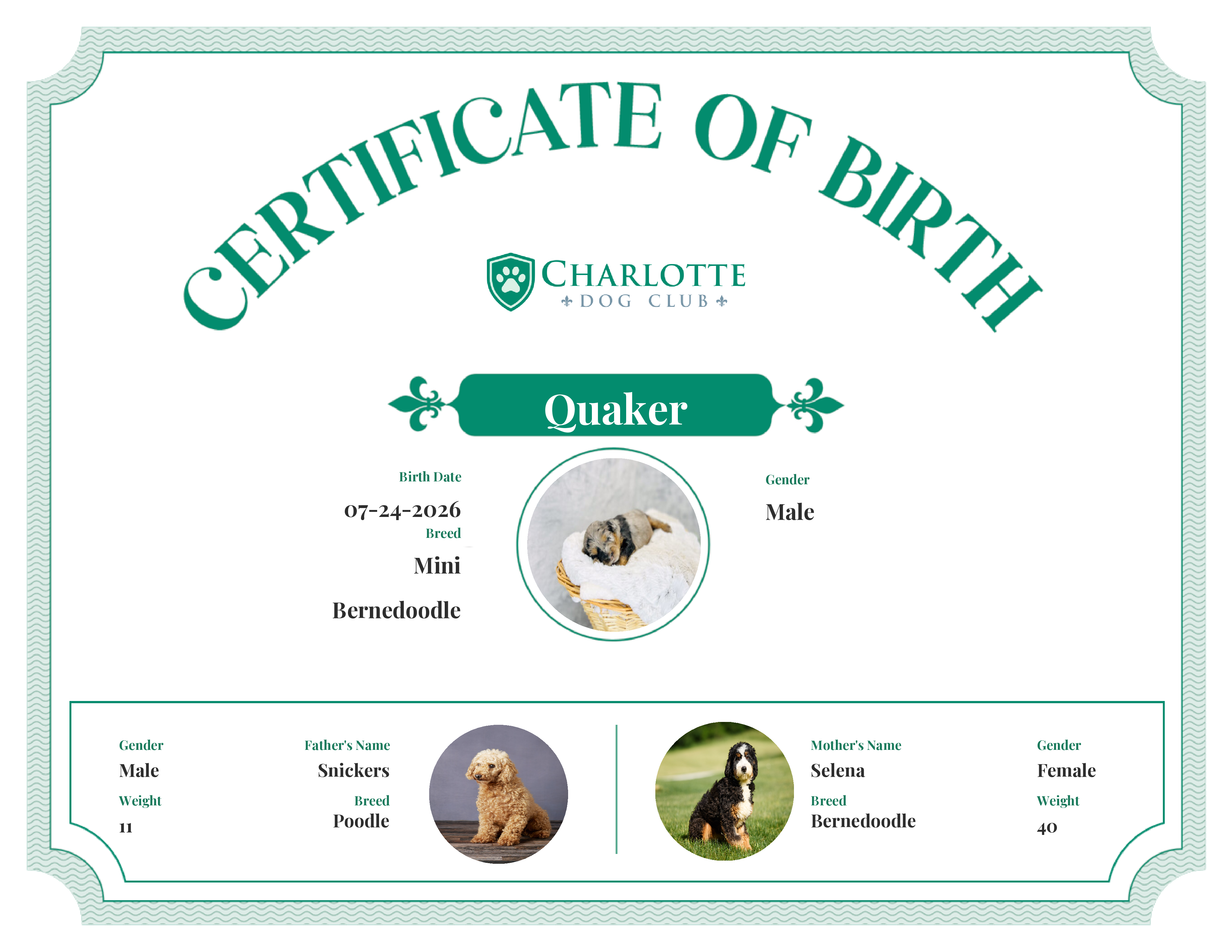 Quaker's Birth Certificate