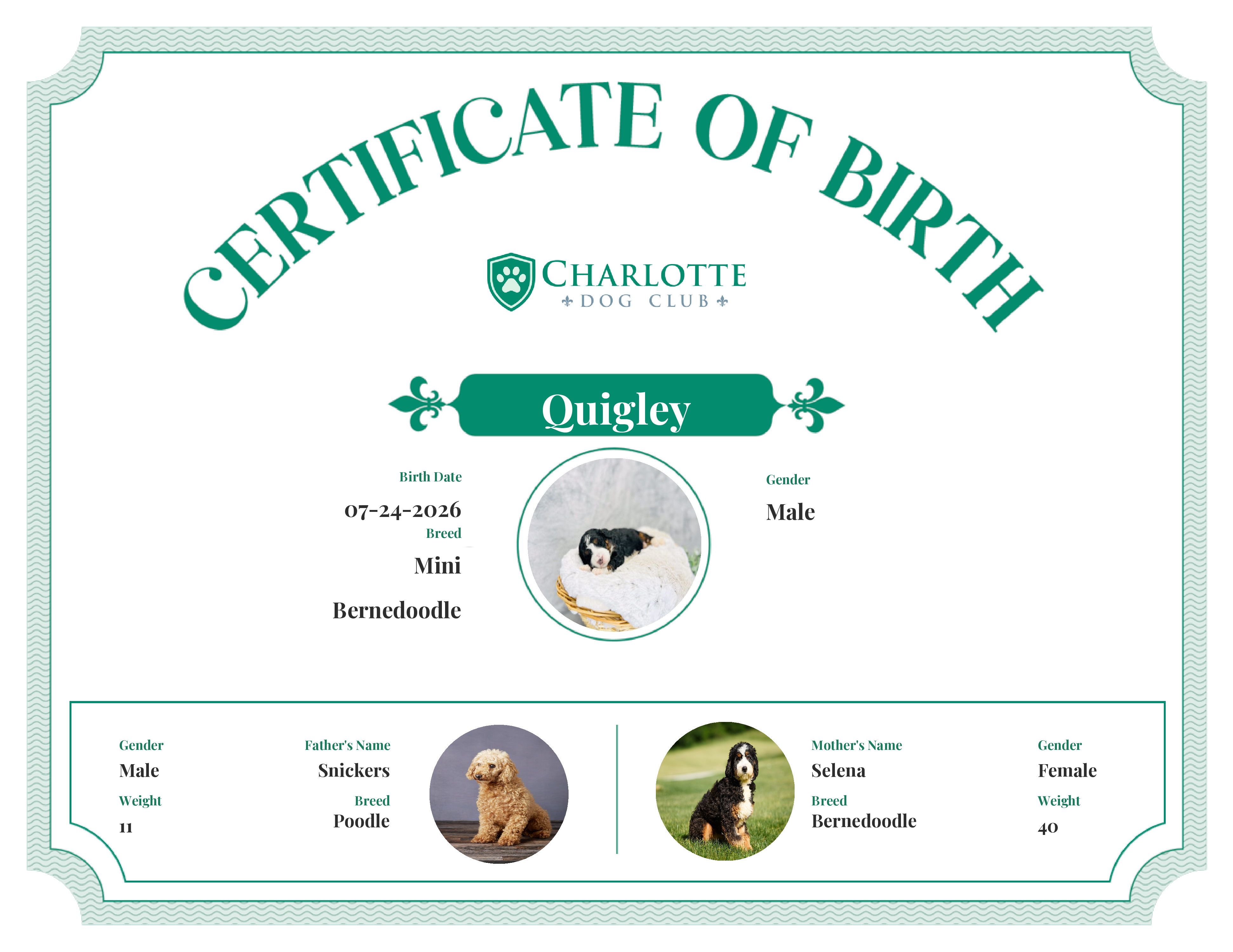 Quigley's Birth Certificate