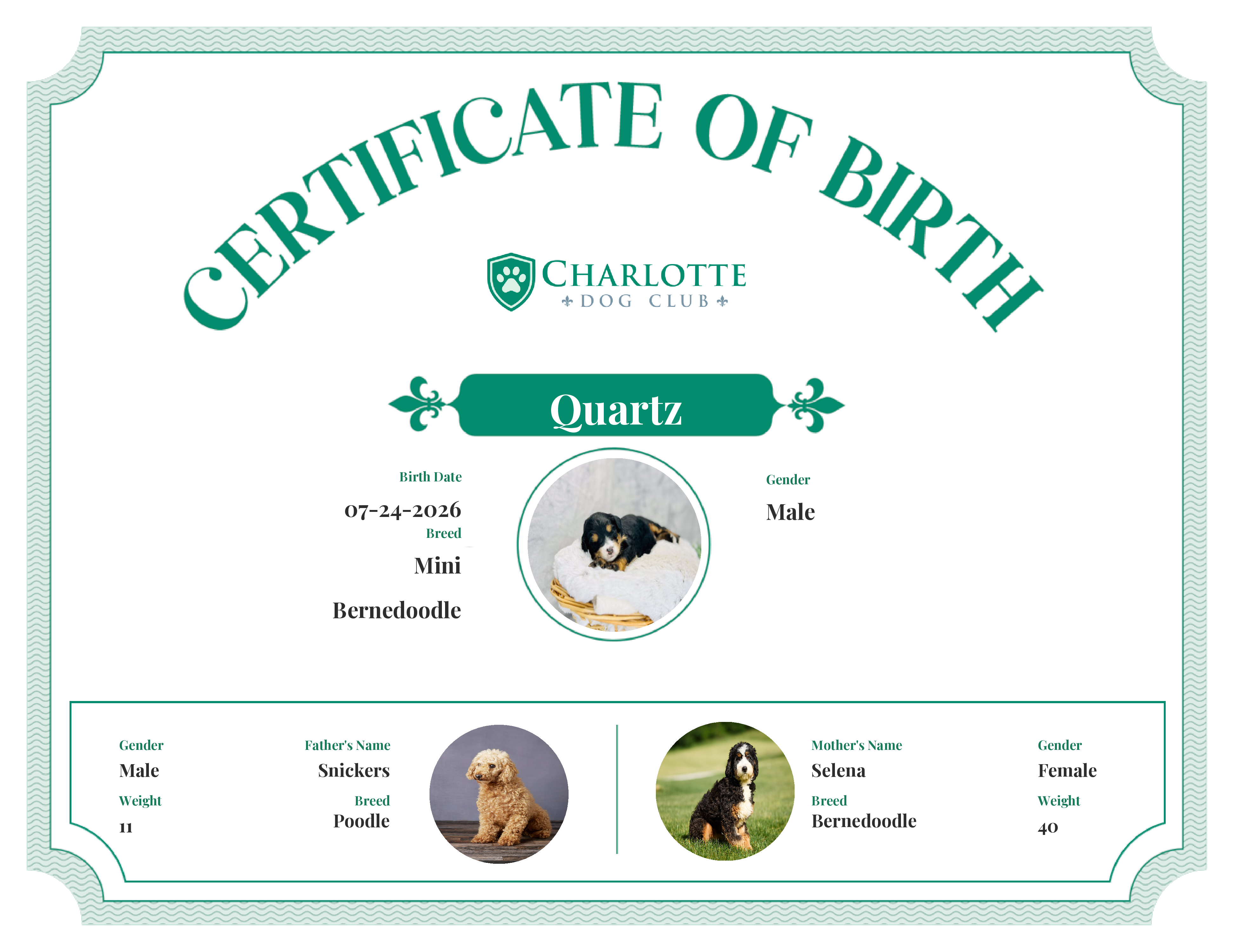 Quartz's Birth Certificate