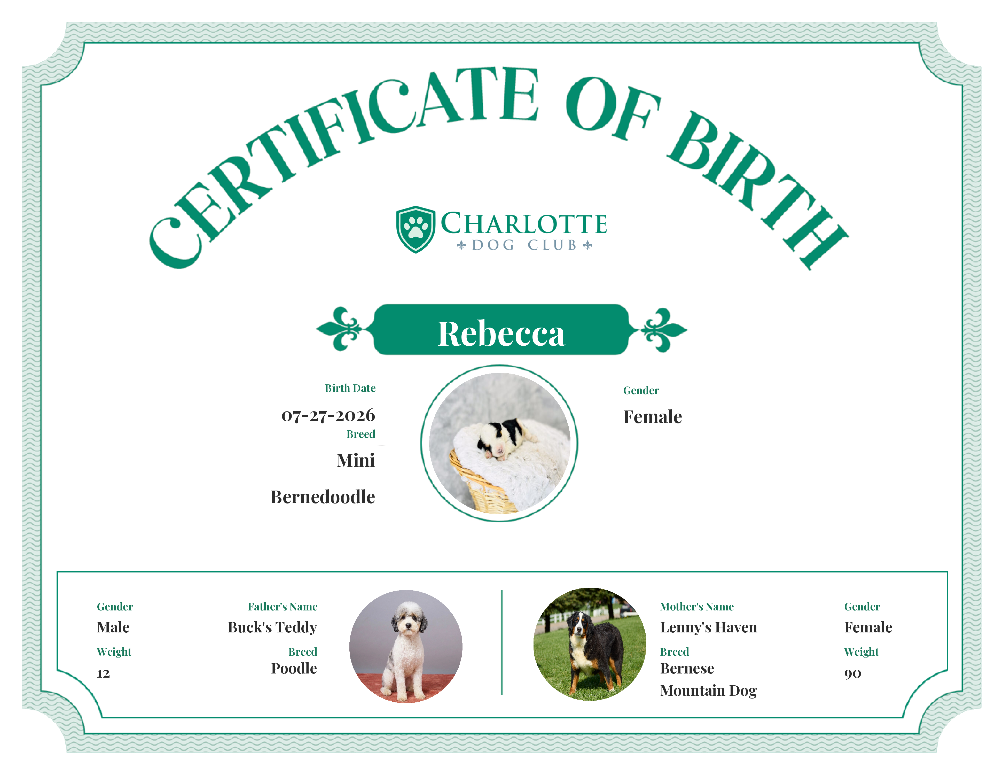 Rebecca's Birth Certificate