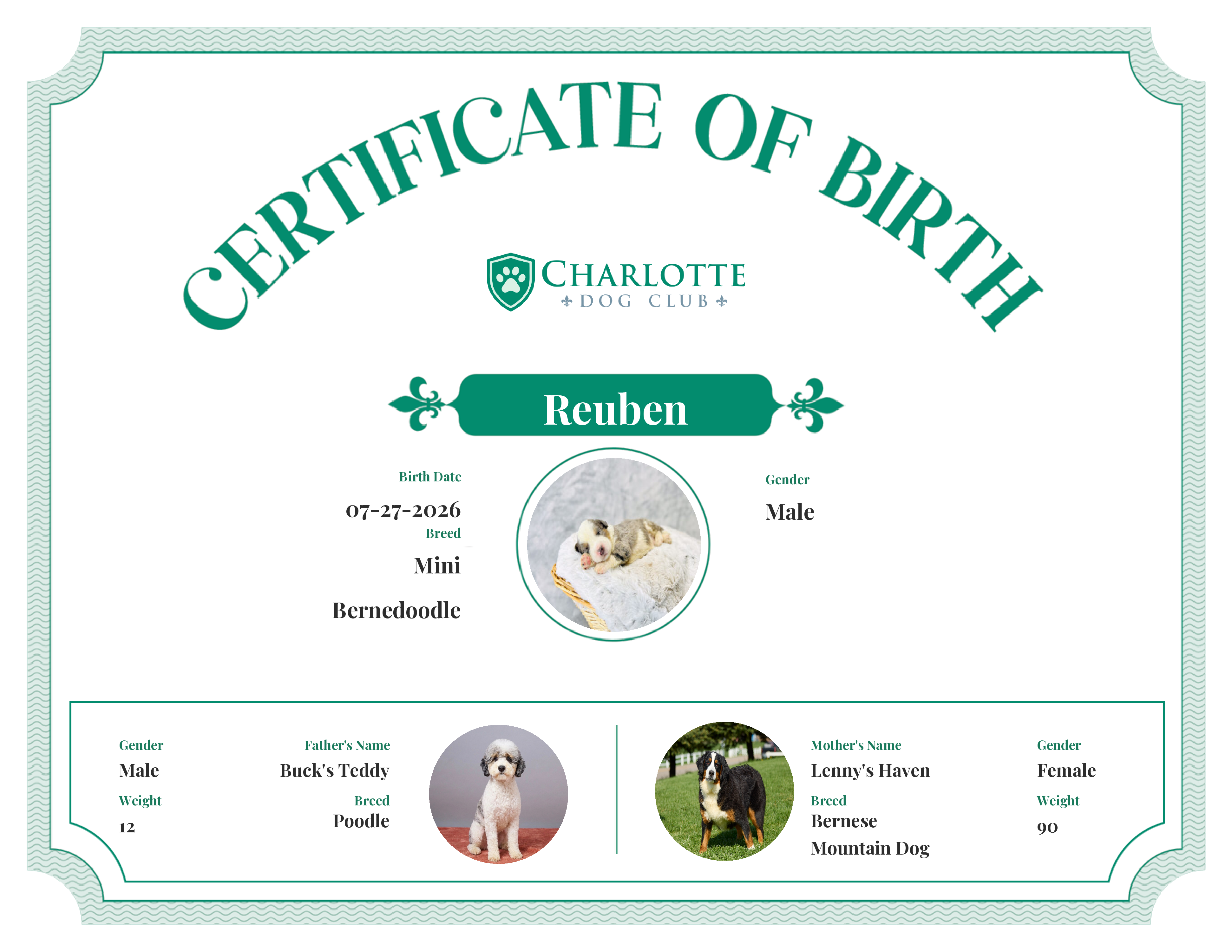 Reuben's Birth Certificate