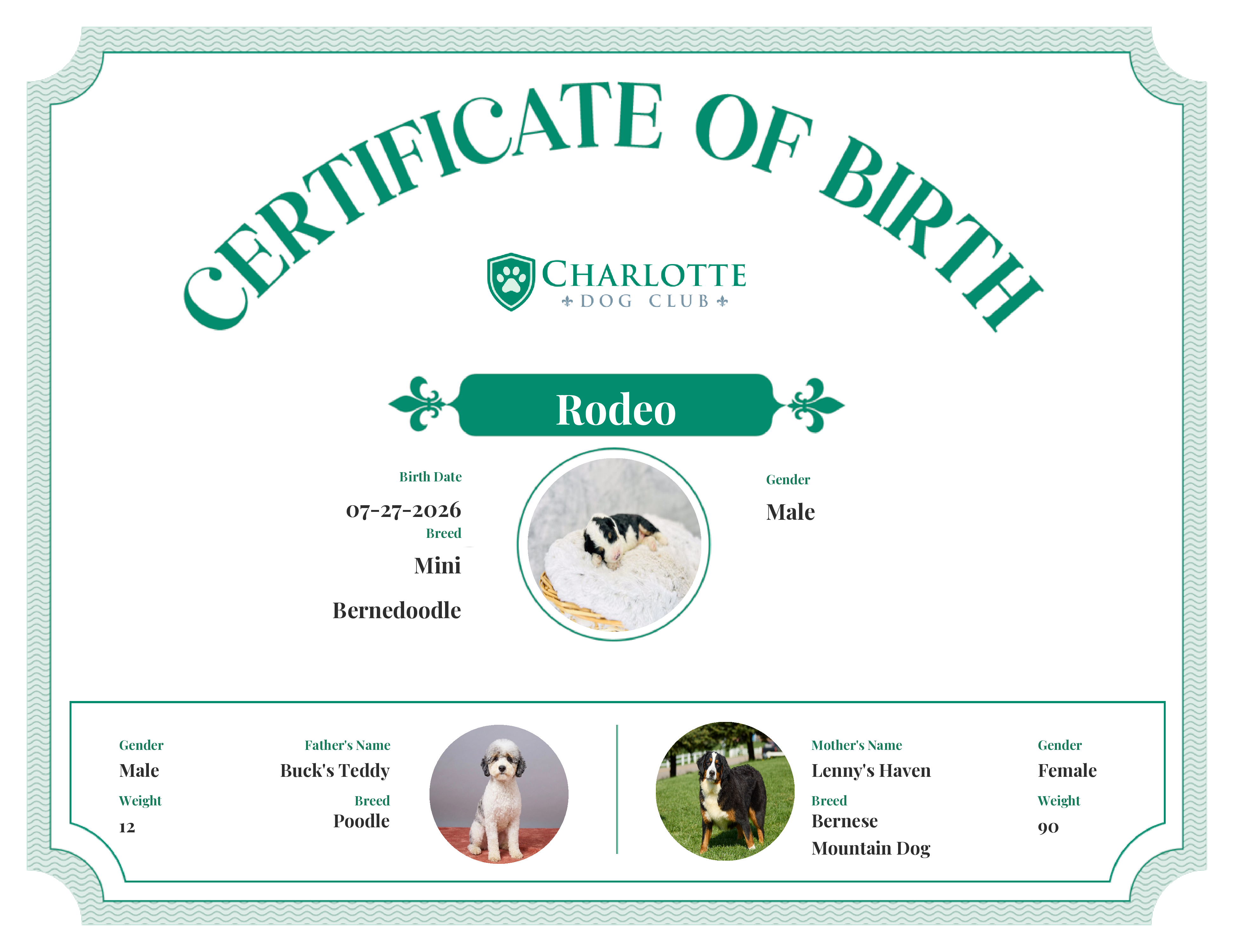 Rodeo's Birth Certificate