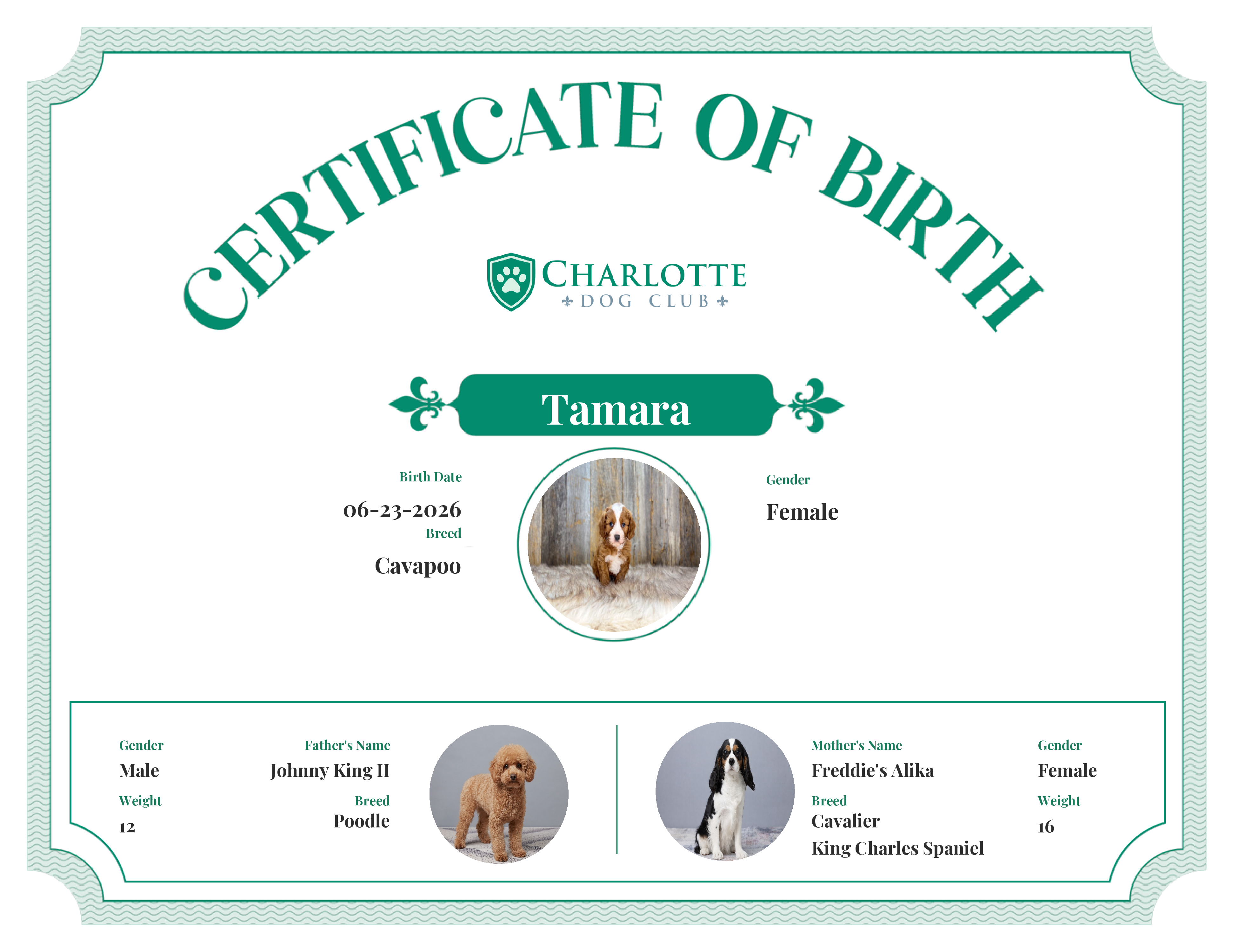 Tamara's Birth Certificate