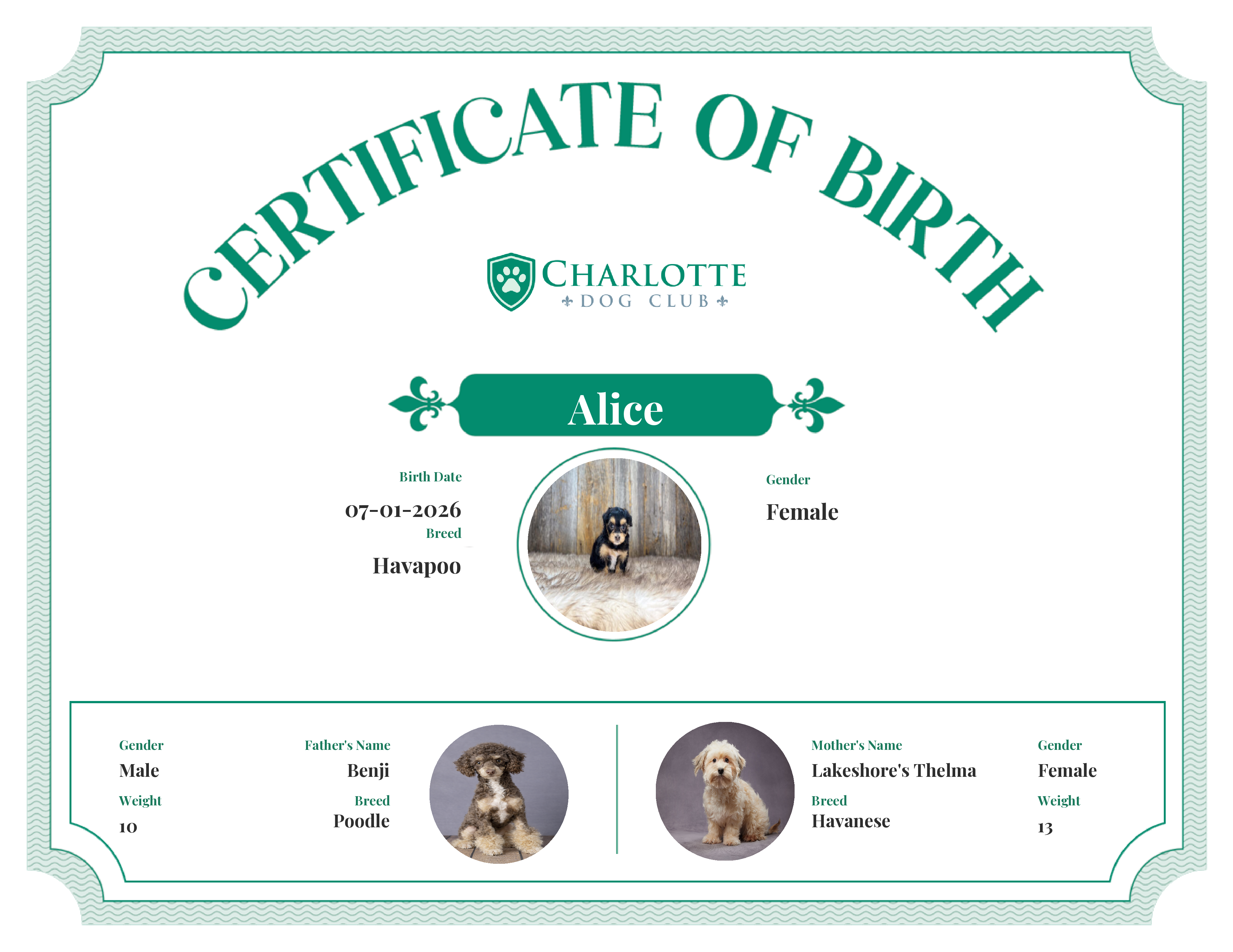 Alice's Birth Certificate