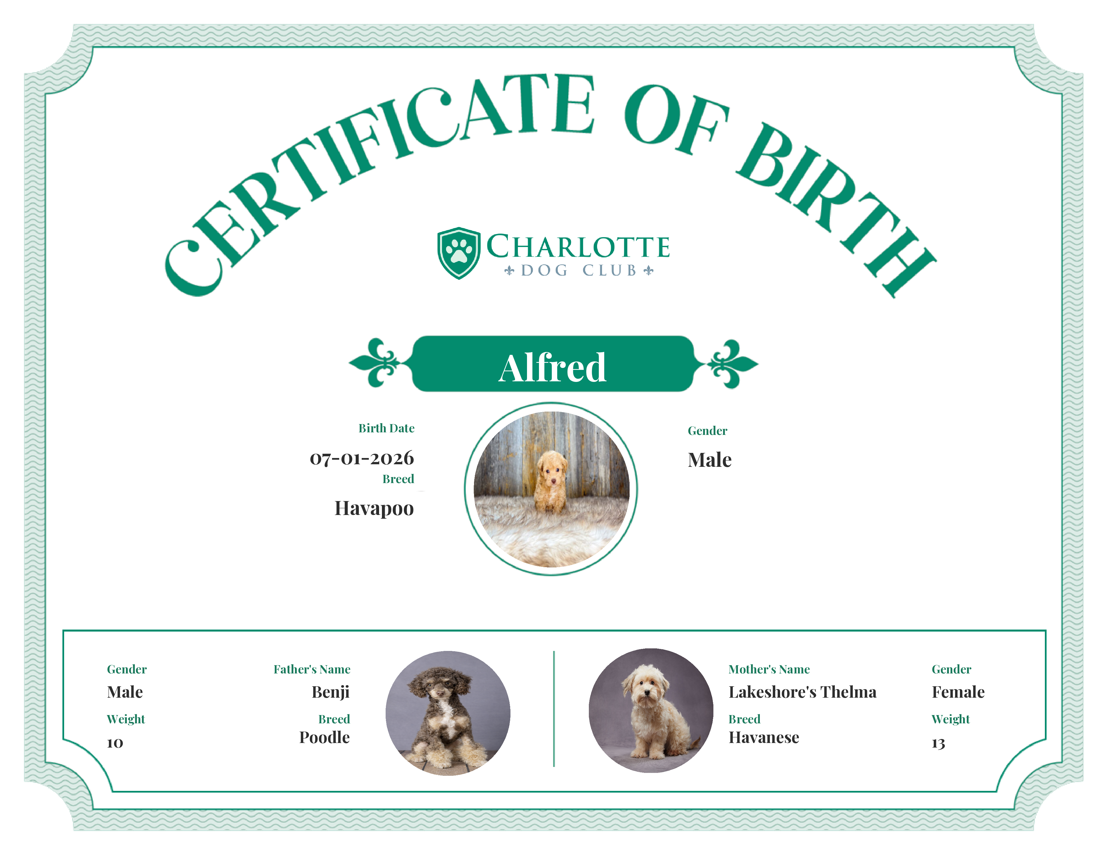 Alfred's Birth Certificate