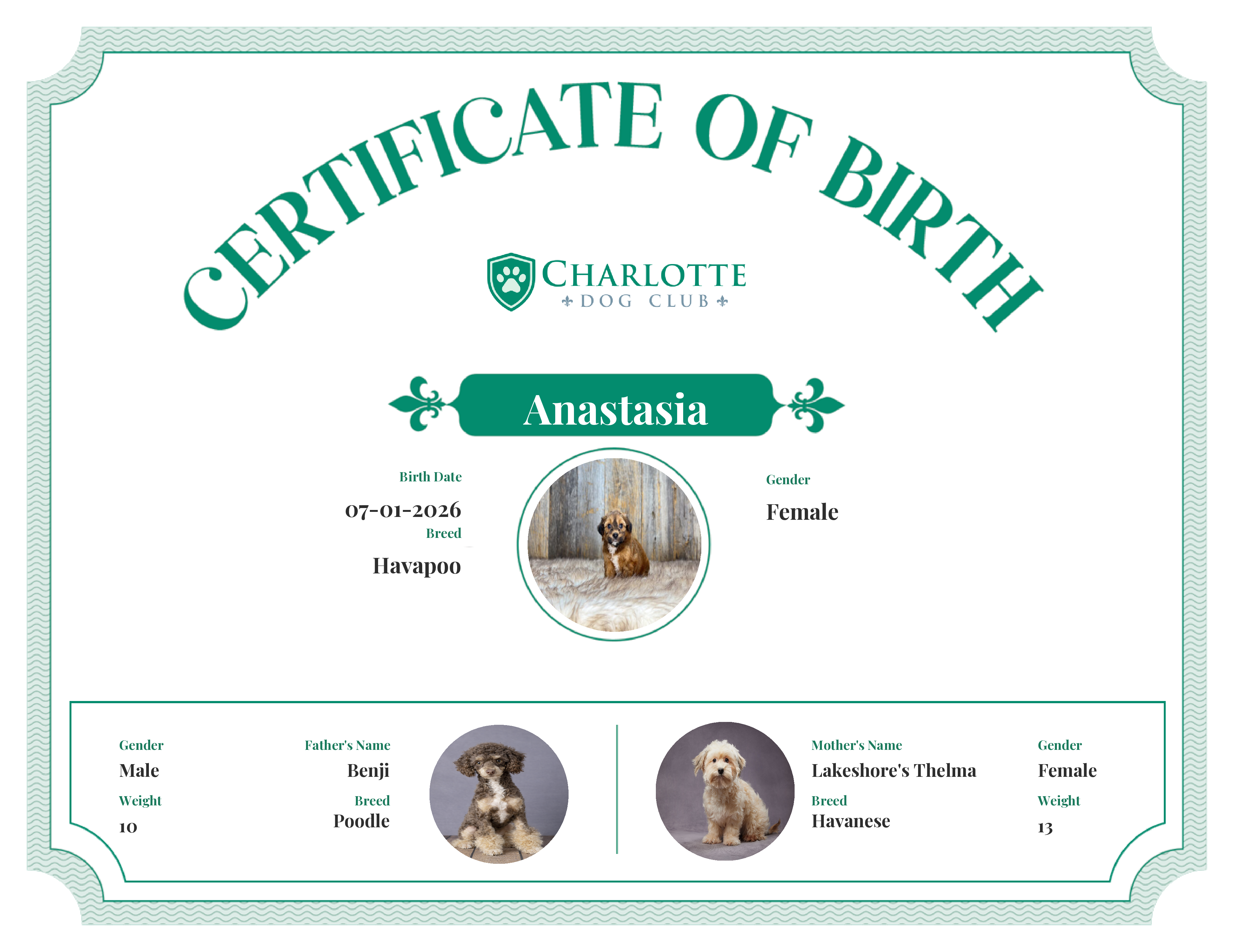Anastasia's Birth Certificate