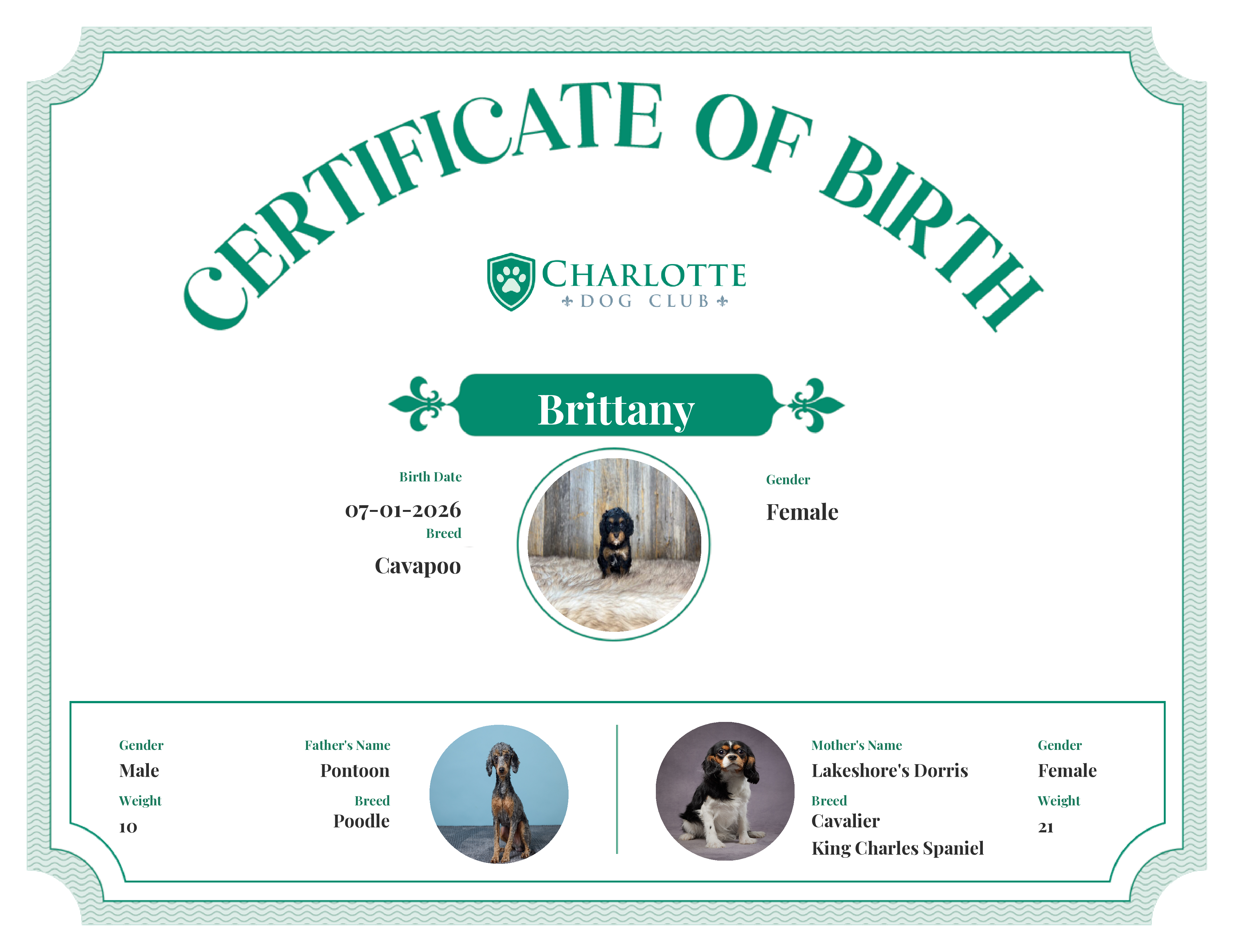 Brittany's Birth Certificate