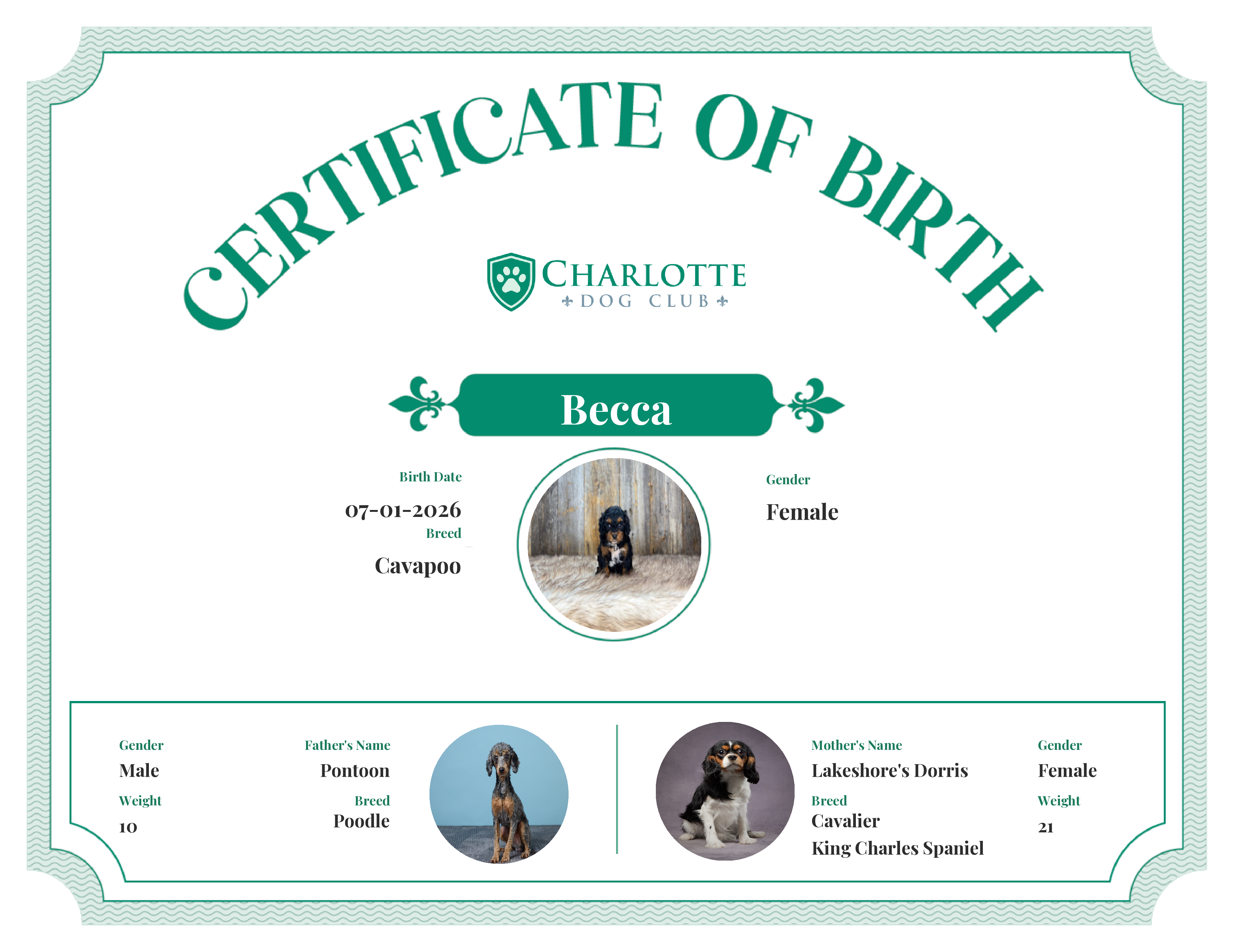 Becca's Birth Certificate