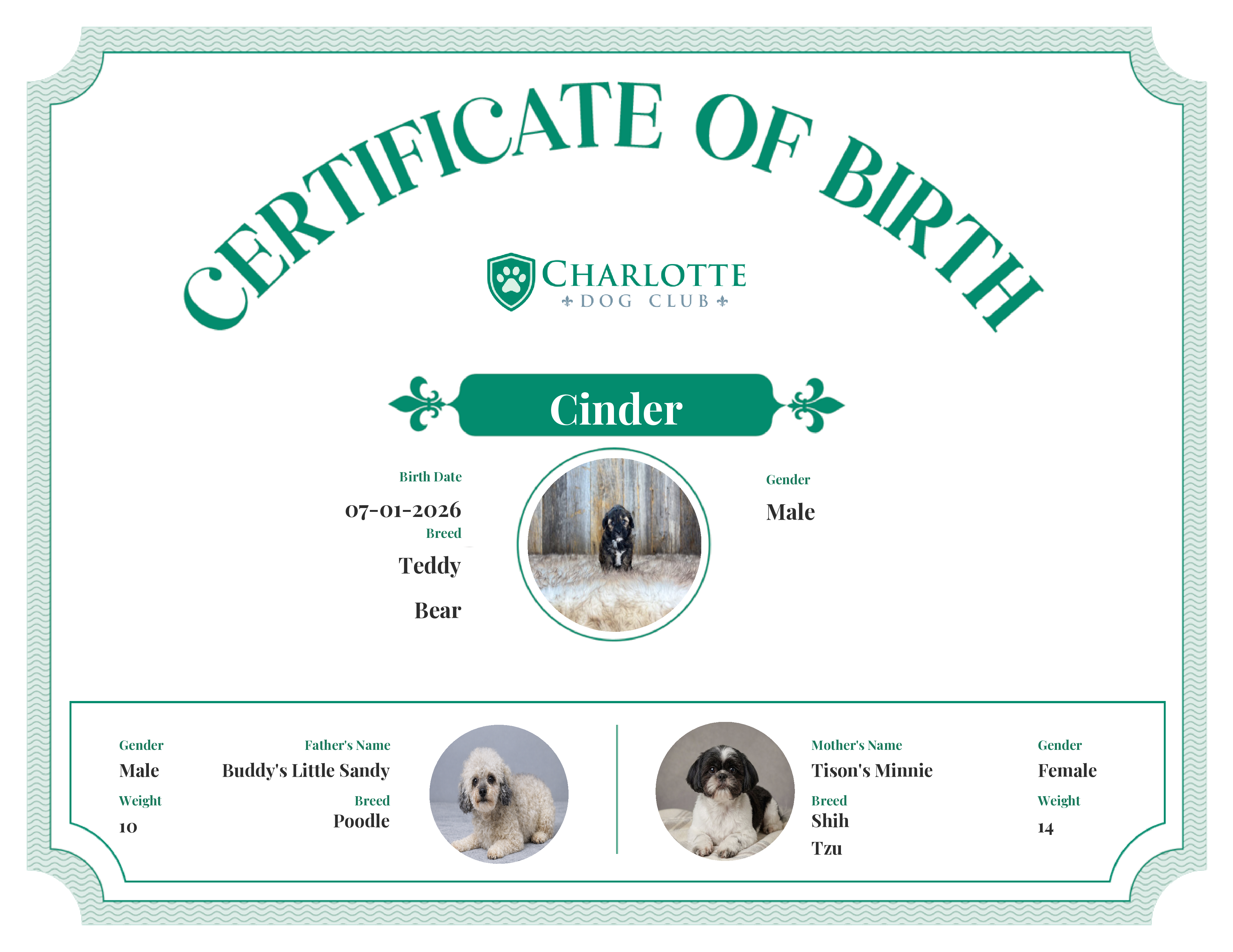Cinder's Birth Certificate
