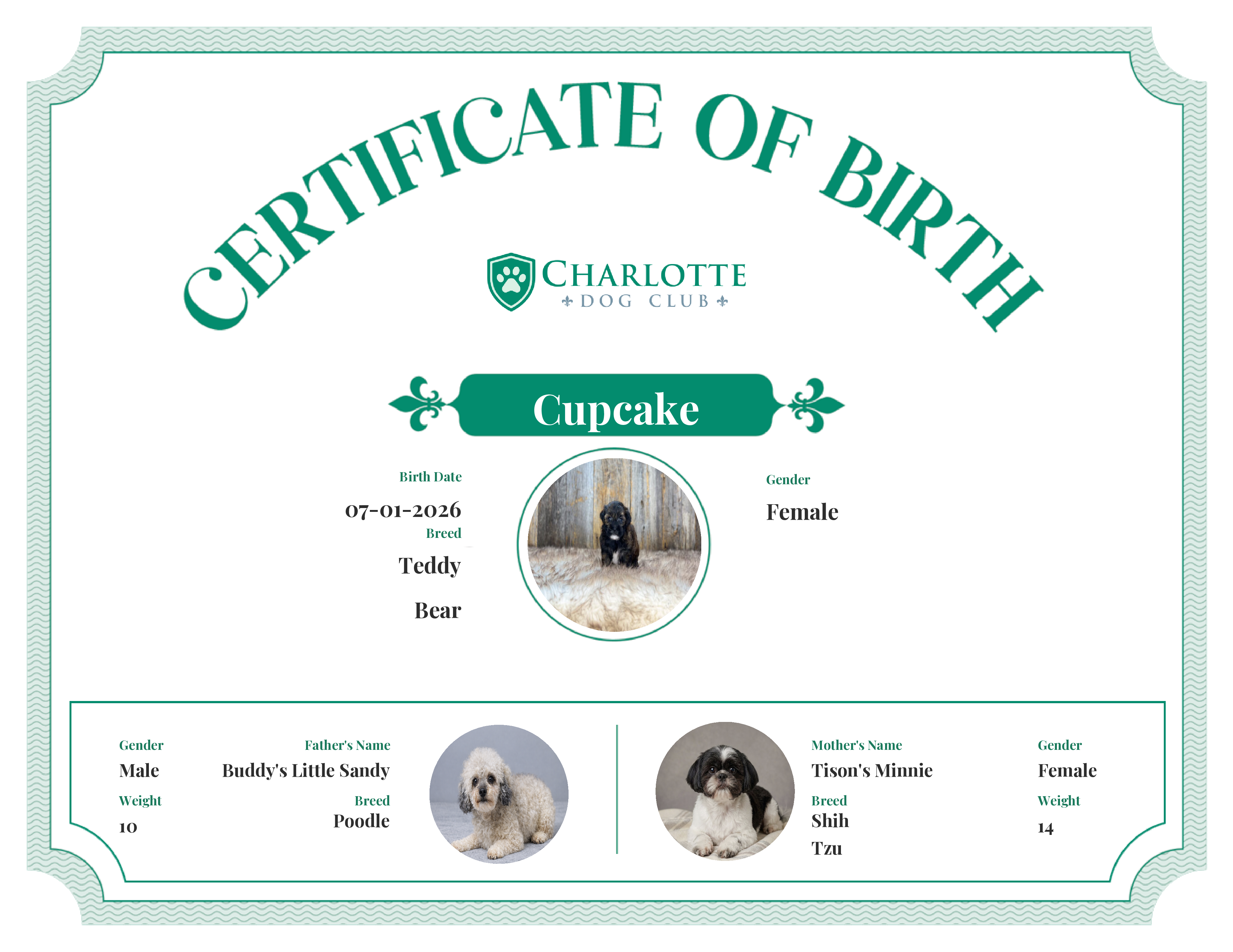 Cupcake's Birth Certificate