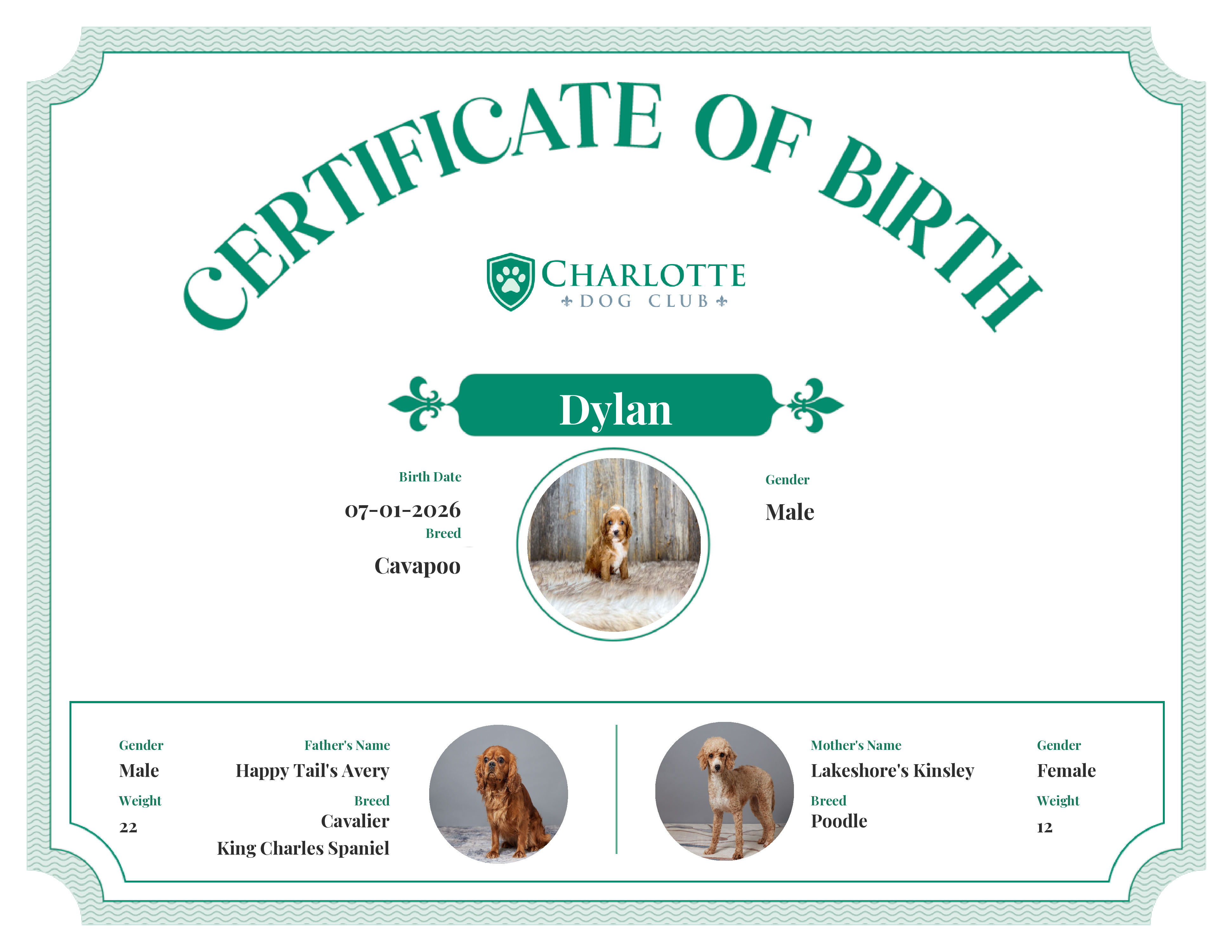 Dylan's Birth Certificate